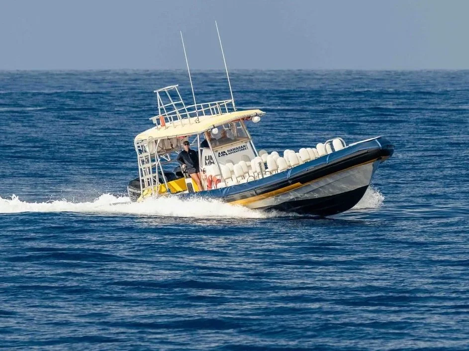 A New Tour Is Here | Adventure Whale Watch on Apollo!