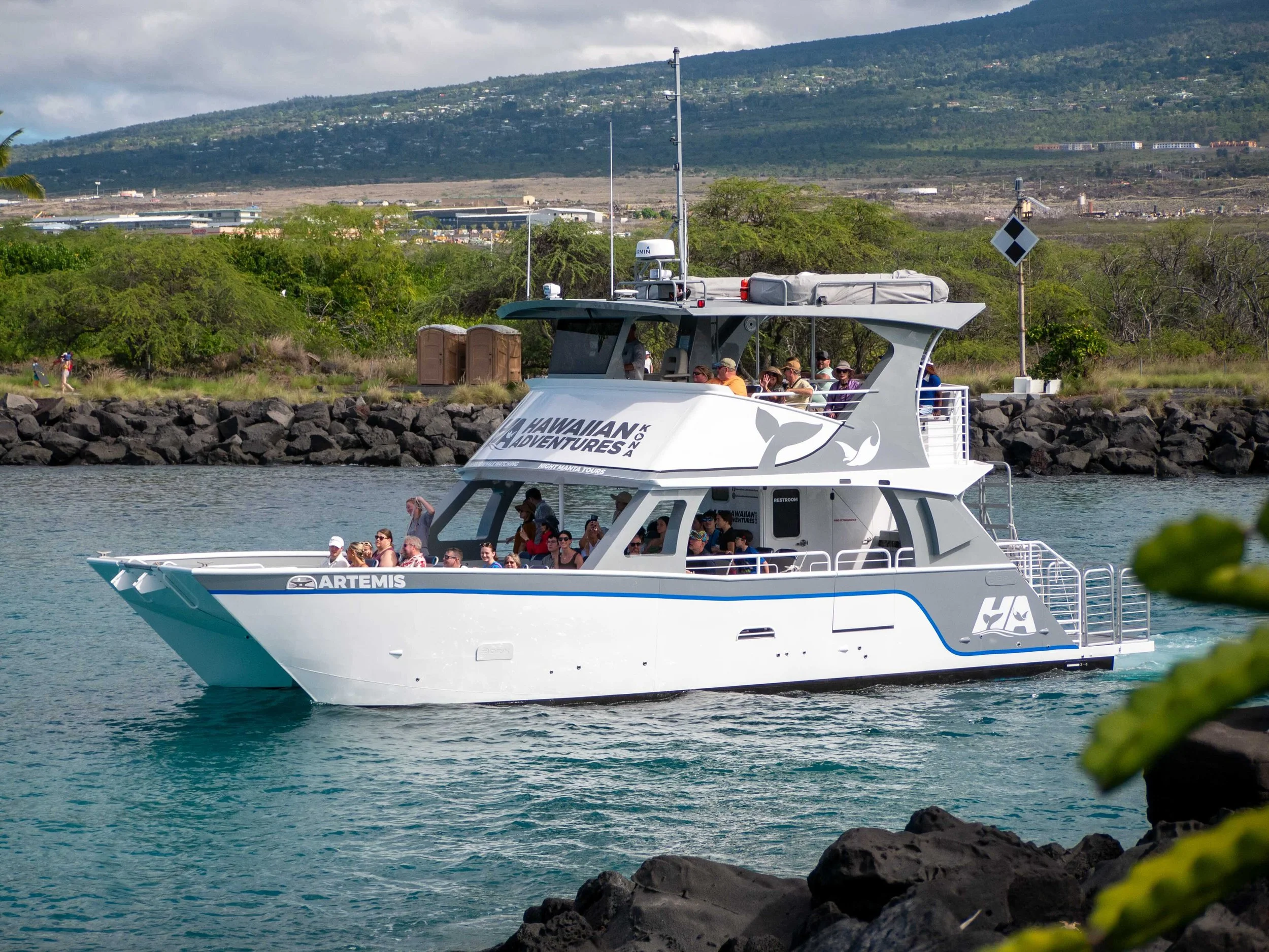 Whale &amp; Wildlife Report | June 14-20, 2026
