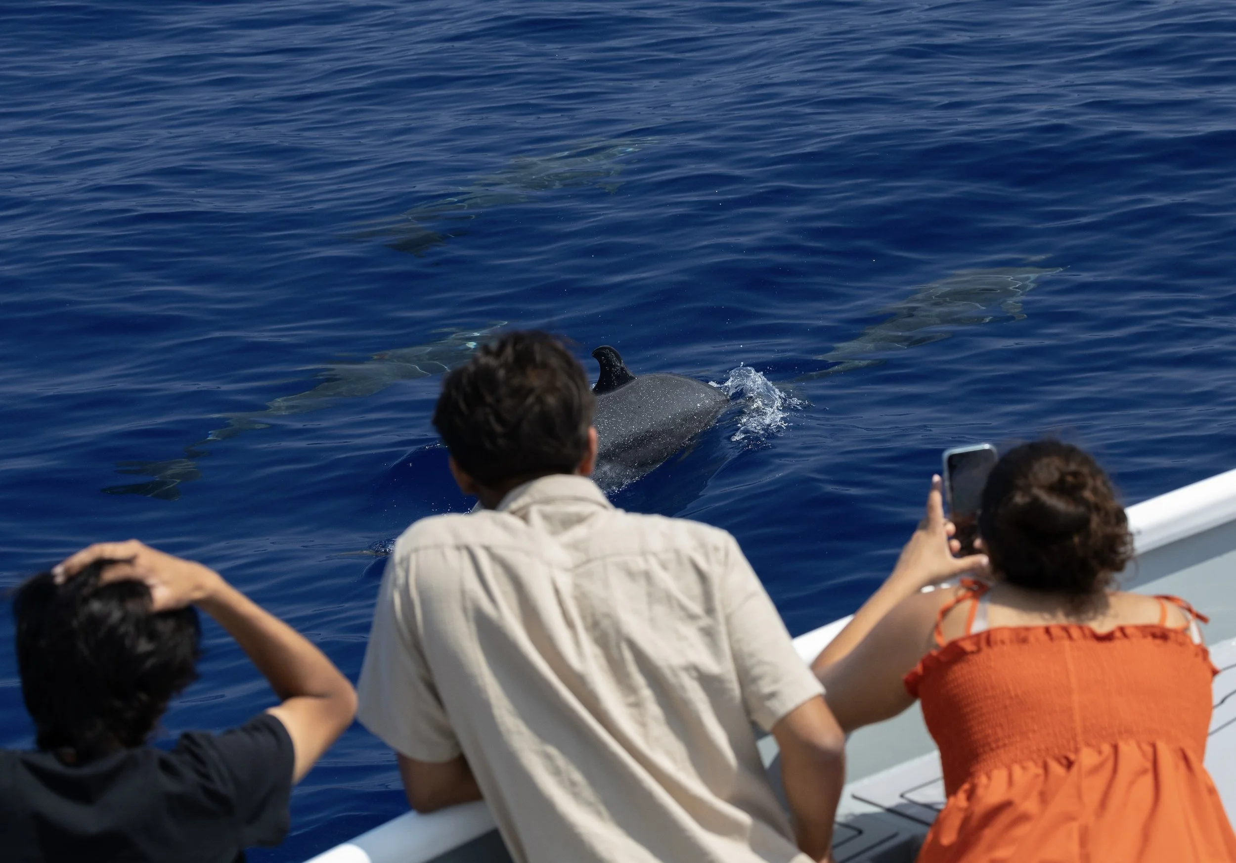 fall tours kona