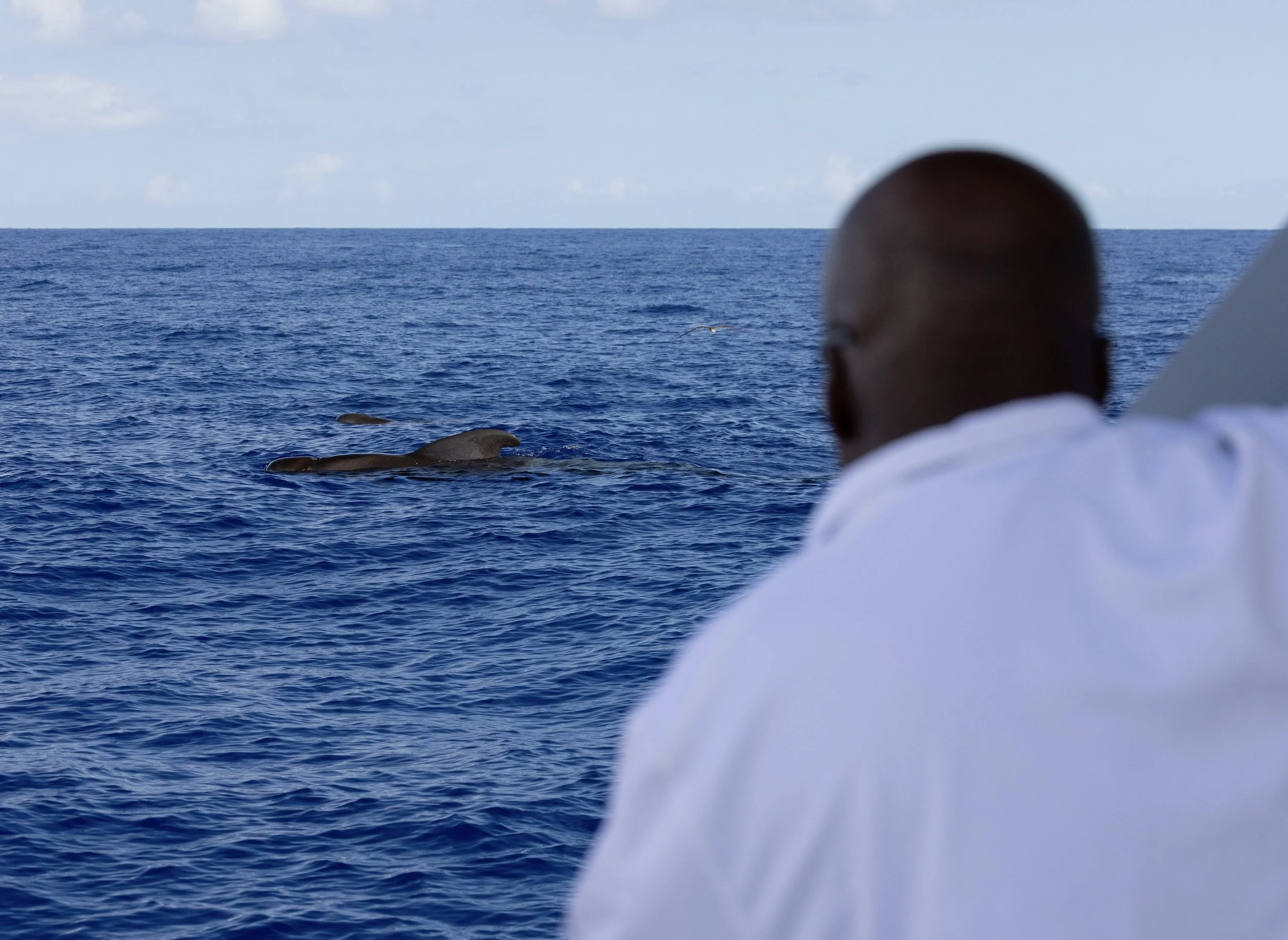 big island september