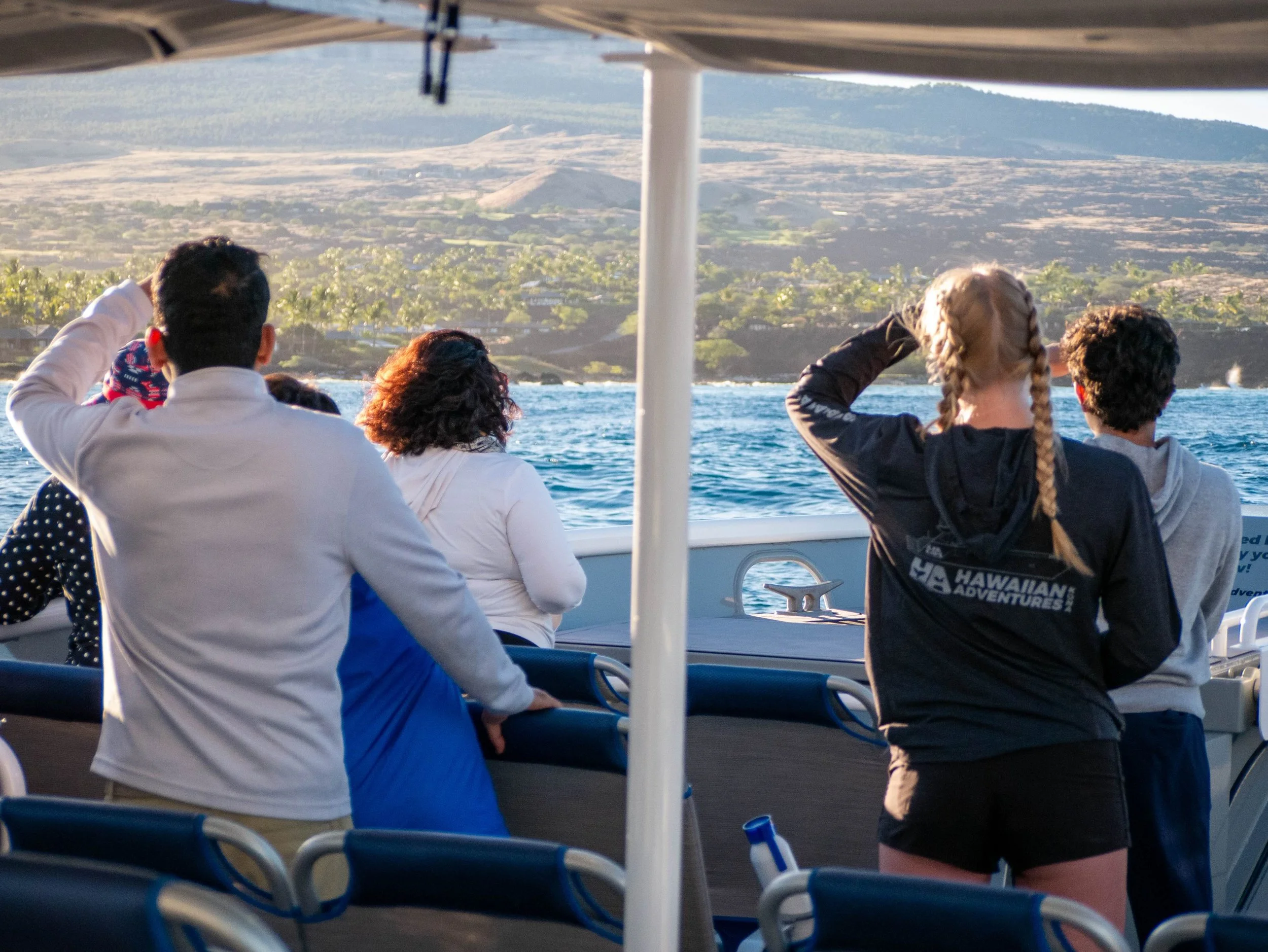 pelagic marne life in hawaii