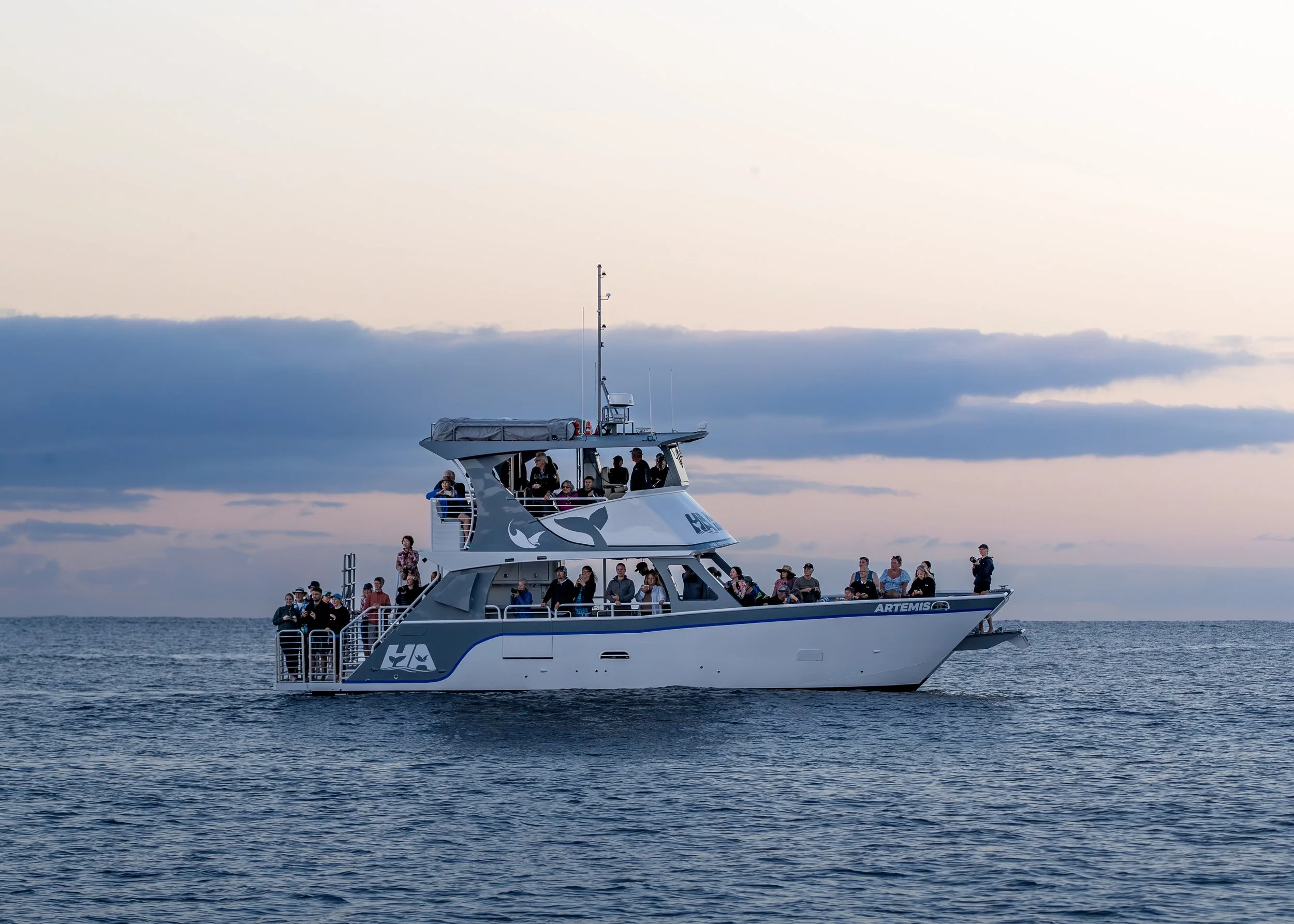 flying spinner dolphins
