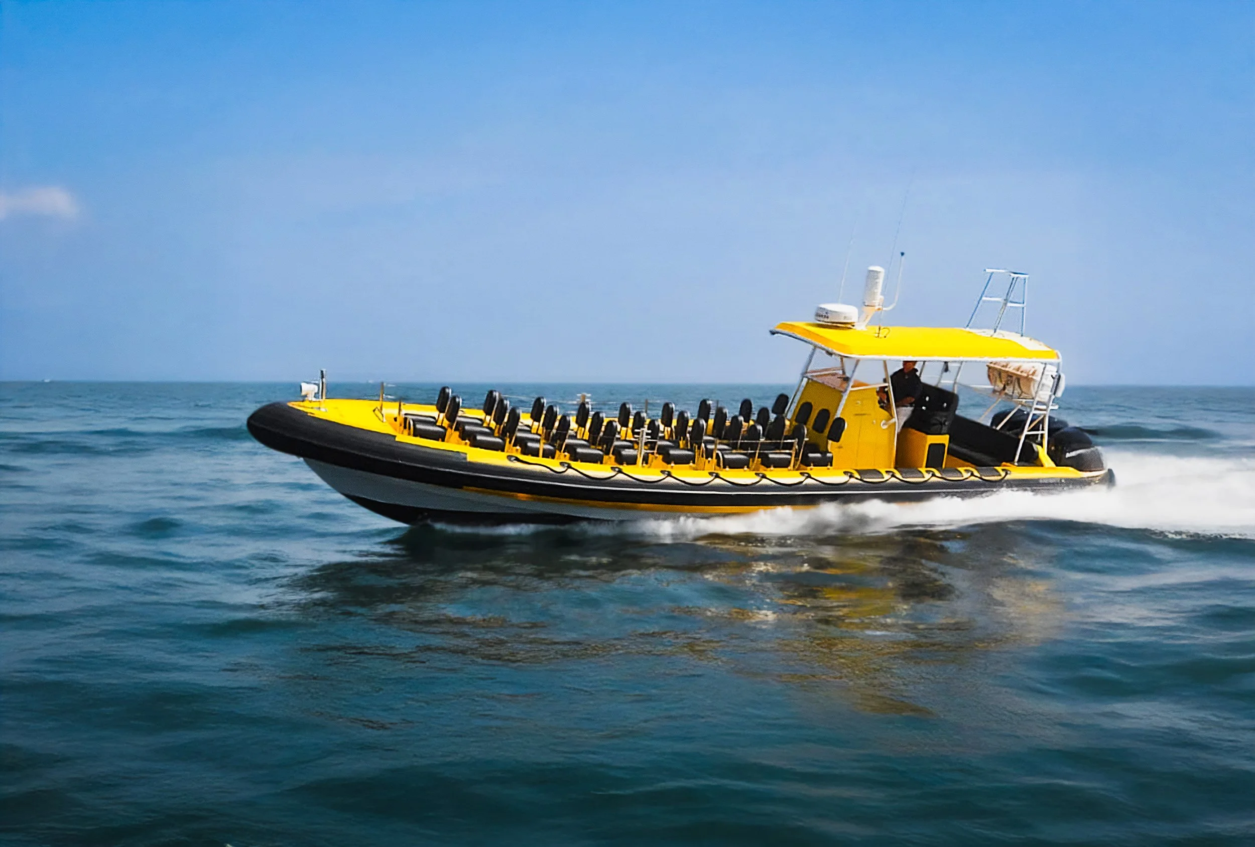 new boat whale watch