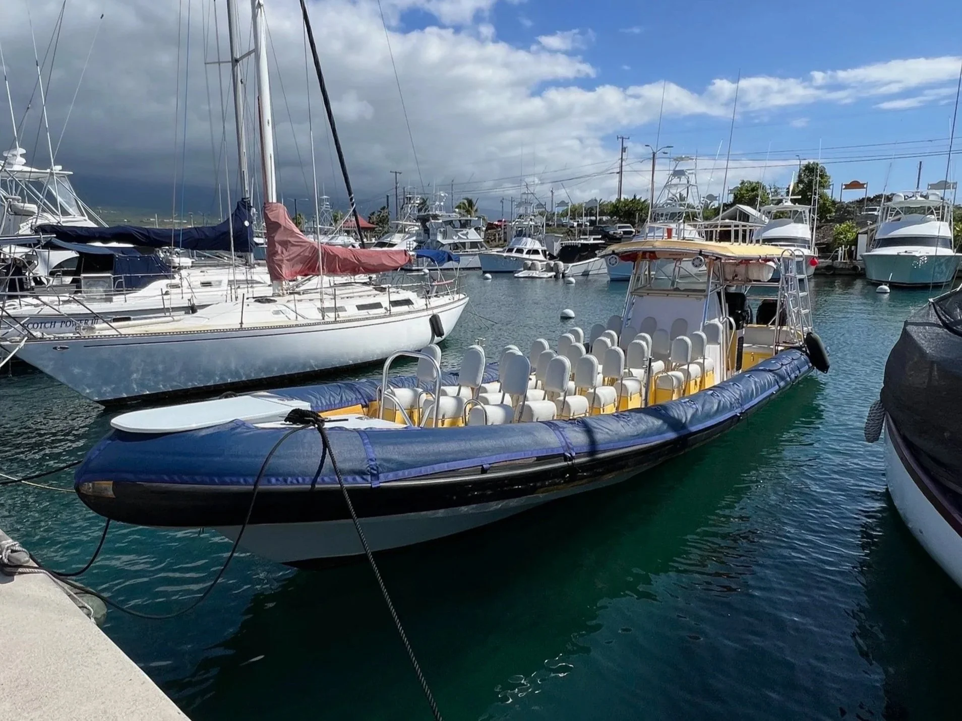 new whale watch boat