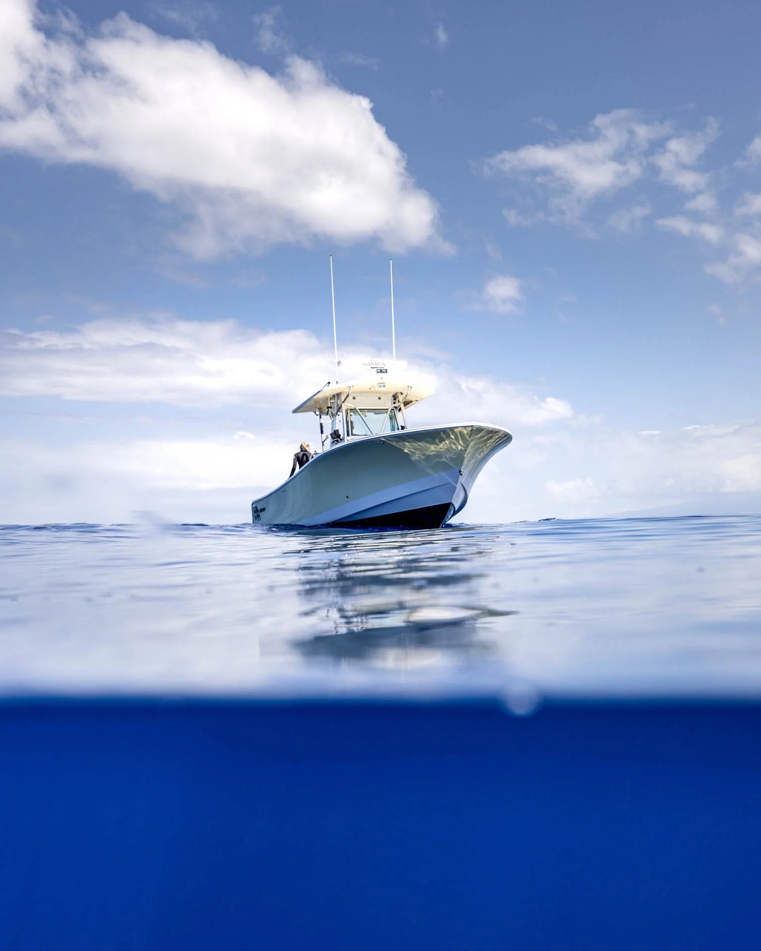 Kona Whale Watch and Big Island Snorkel Boats Hawaiian Adventures