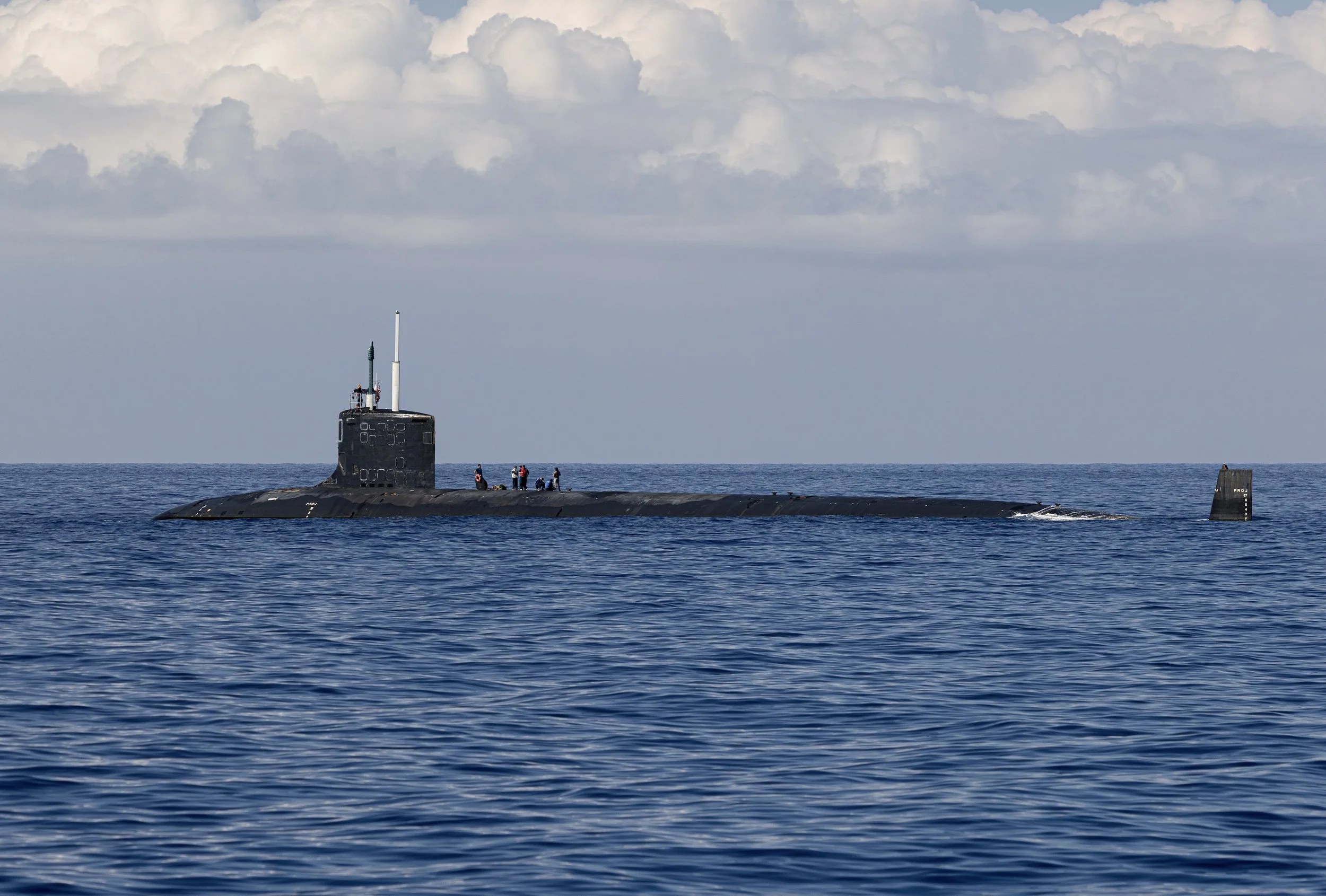 kona hawaii marine life