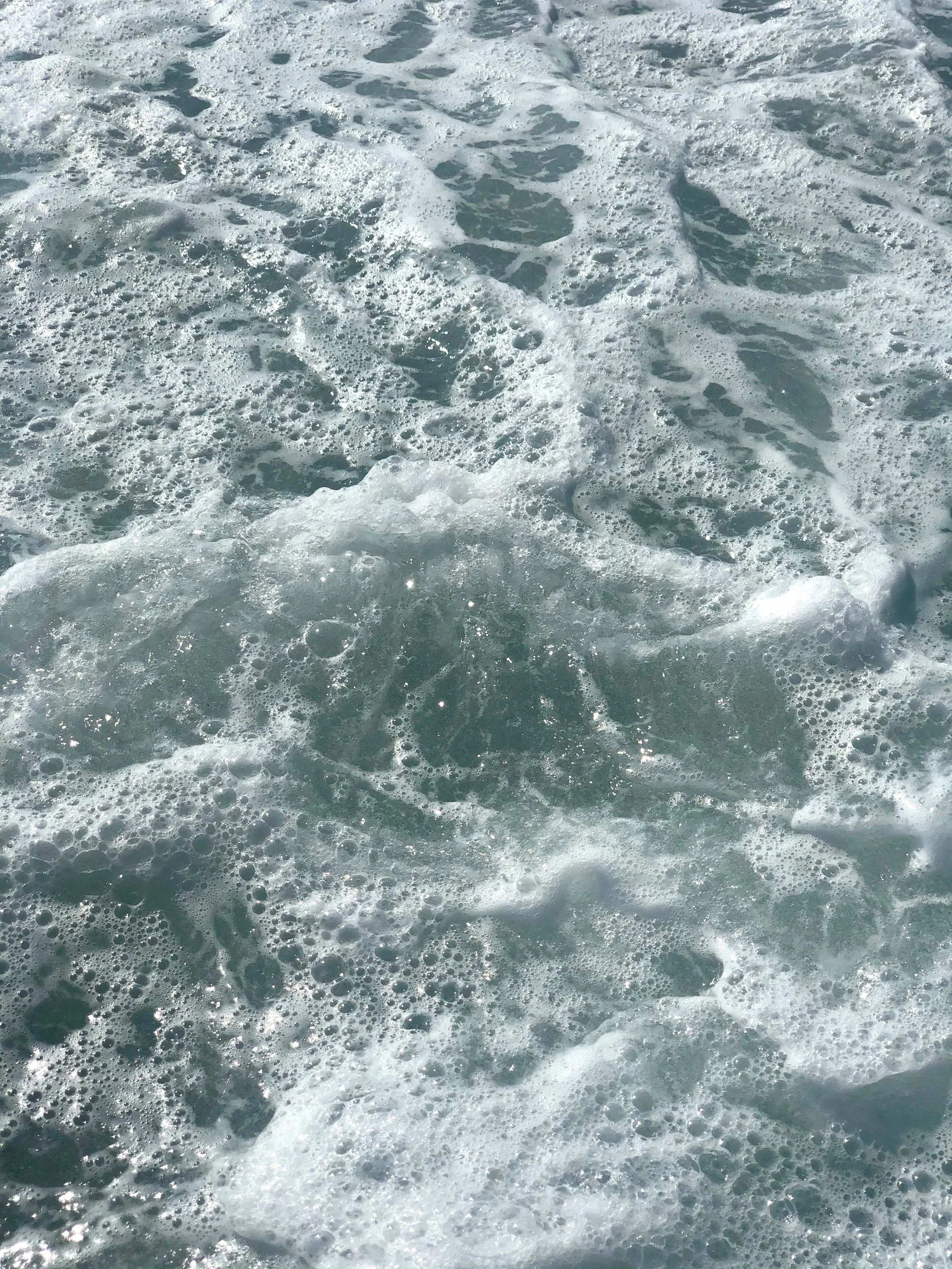 Sanctified by Christ’s One Sacrifice (part two of two)&nbsp;