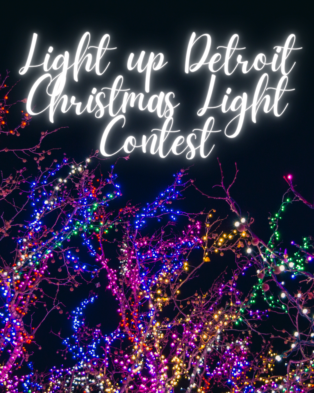 Light Up Detroit Christmas Decorating Contest