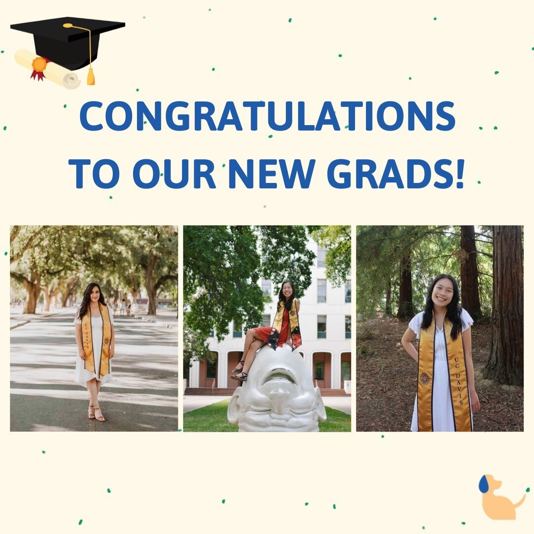 A very big CONGRATULATIONS to our co-founders Bisma, Lauren, and Myhan for graduating from @UCDavis! They have been working super hard at Shrimply Blue for the past year. Thank you for all of your creative design &amp; food science help. Cheers to no