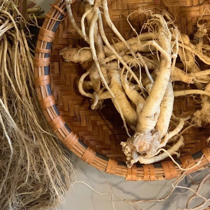 Join us for our &lsquo;Autumn Bitter Roots Remedies&rsquo; workshop @shelburnefarms on Thursday, September 29th. 🌿

This beautiful, organic farmland is home to many nourishing foods, and we will take you on a &ldquo;weeds walk&rdquo; to learn to ide