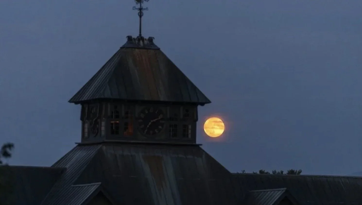 Moonwise: Wisdom and Herbal Care for Wombholders