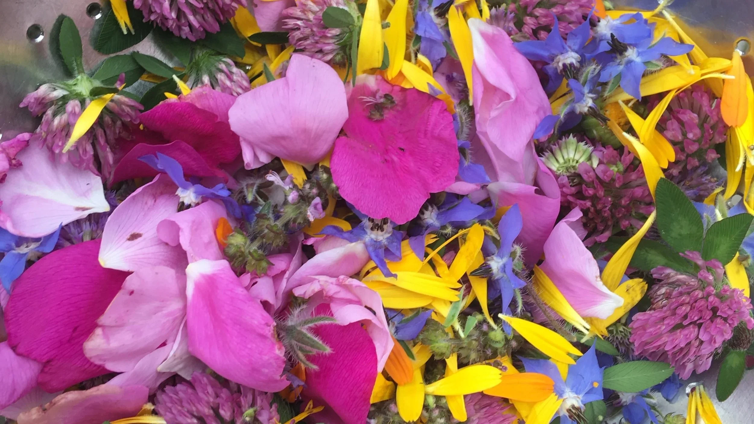 Make your Own Tea Pot! Herbal Tea Weekend Retreat with Ceramics Artist Sandy Pond and Herbalist Katherine Elmer