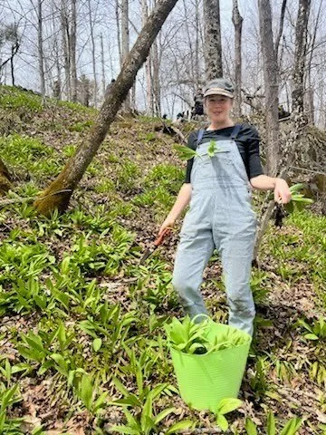  Spoonful Herbals Ramp - Winos - Stewardship & Transplanting Workshop