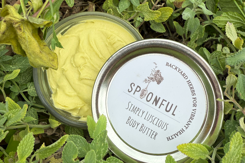 Herbal Oil Infusions, Salves and Lotions at Shelburne Farms
