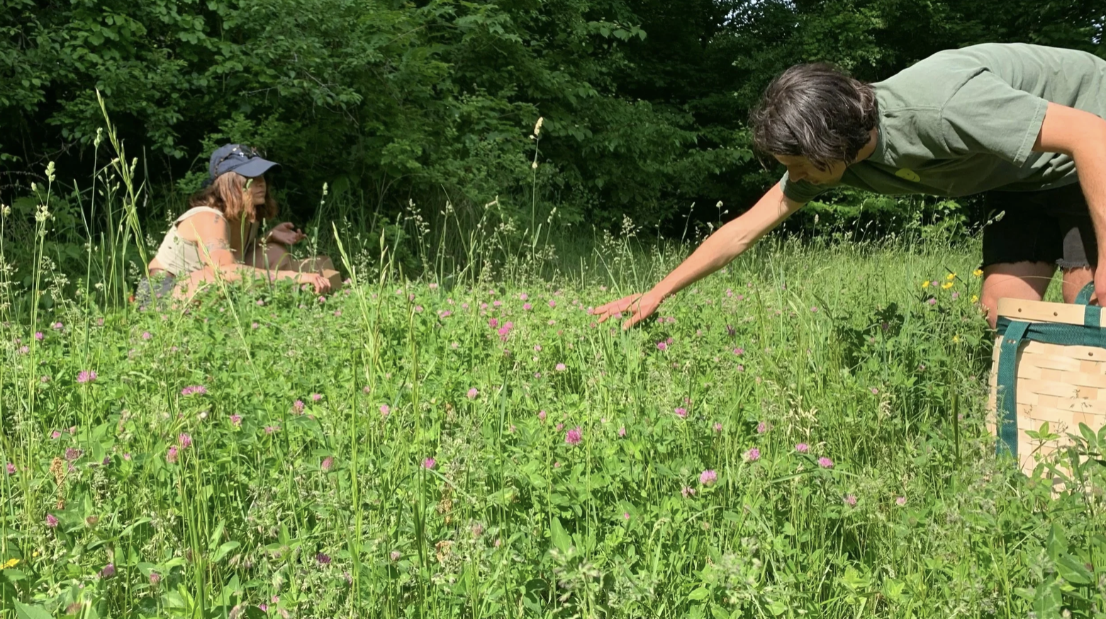 FREE 1ST Session - Community Gleaning and Wildcrafter’s Guild