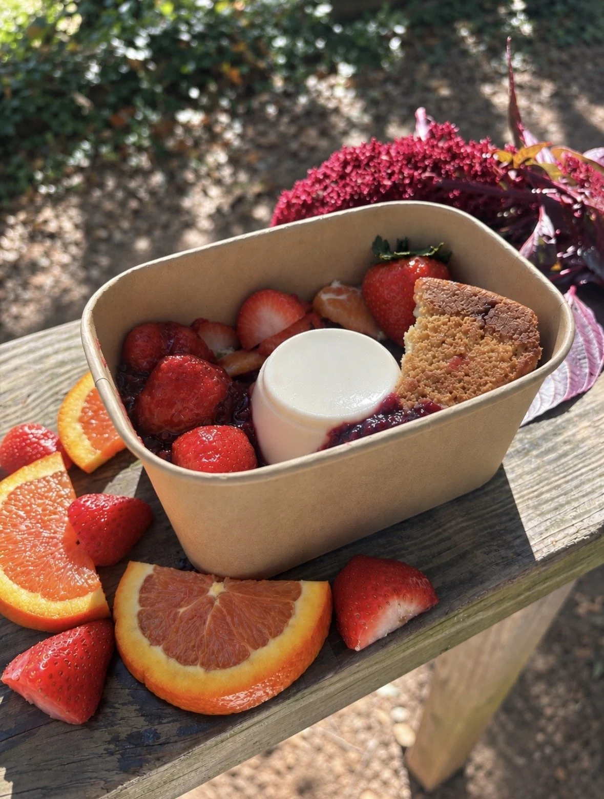 Vegan Greek Yogurt Panna Cotta + Chamomile Cake + Fruit
