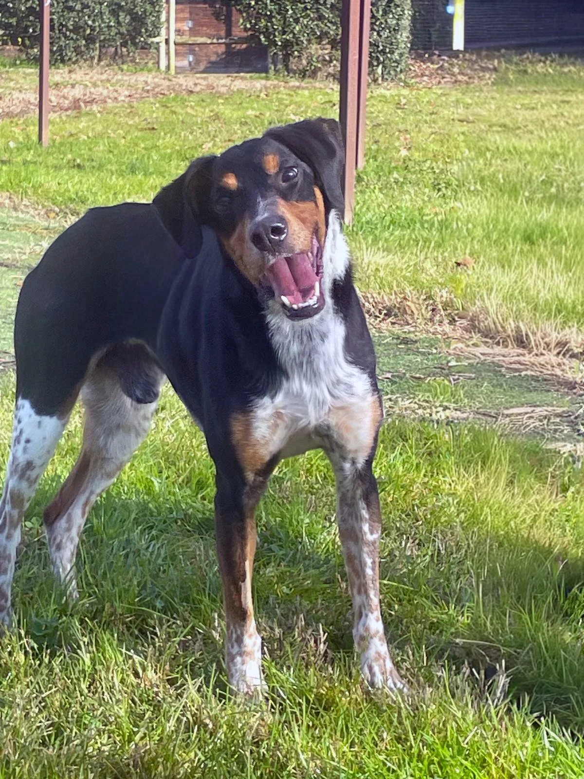 WhatsApp Image 2025-11-17 at 14.32.58 (2).jpeg