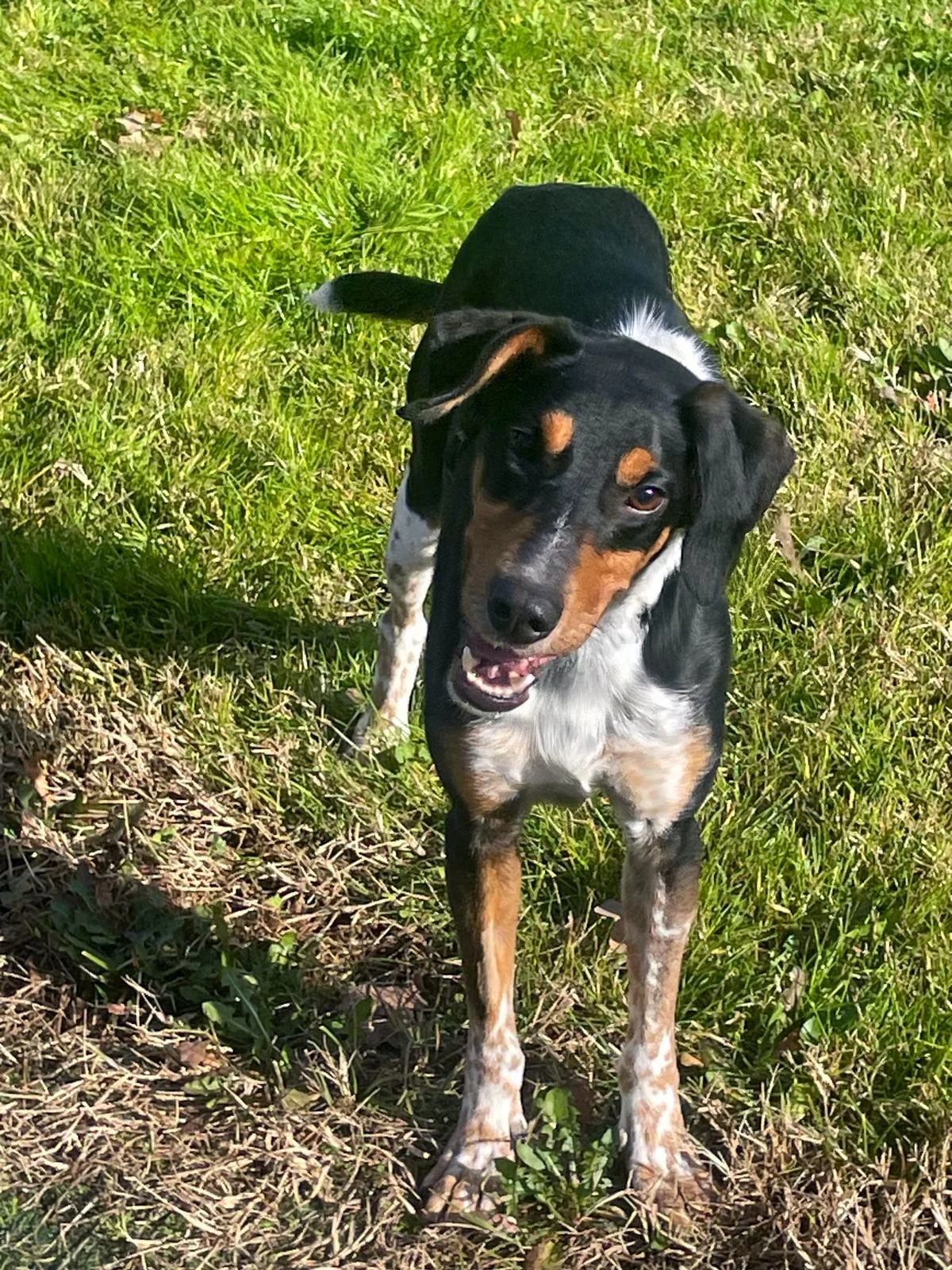 WhatsApp Image 2025-11-17 at 14.32.58.jpeg