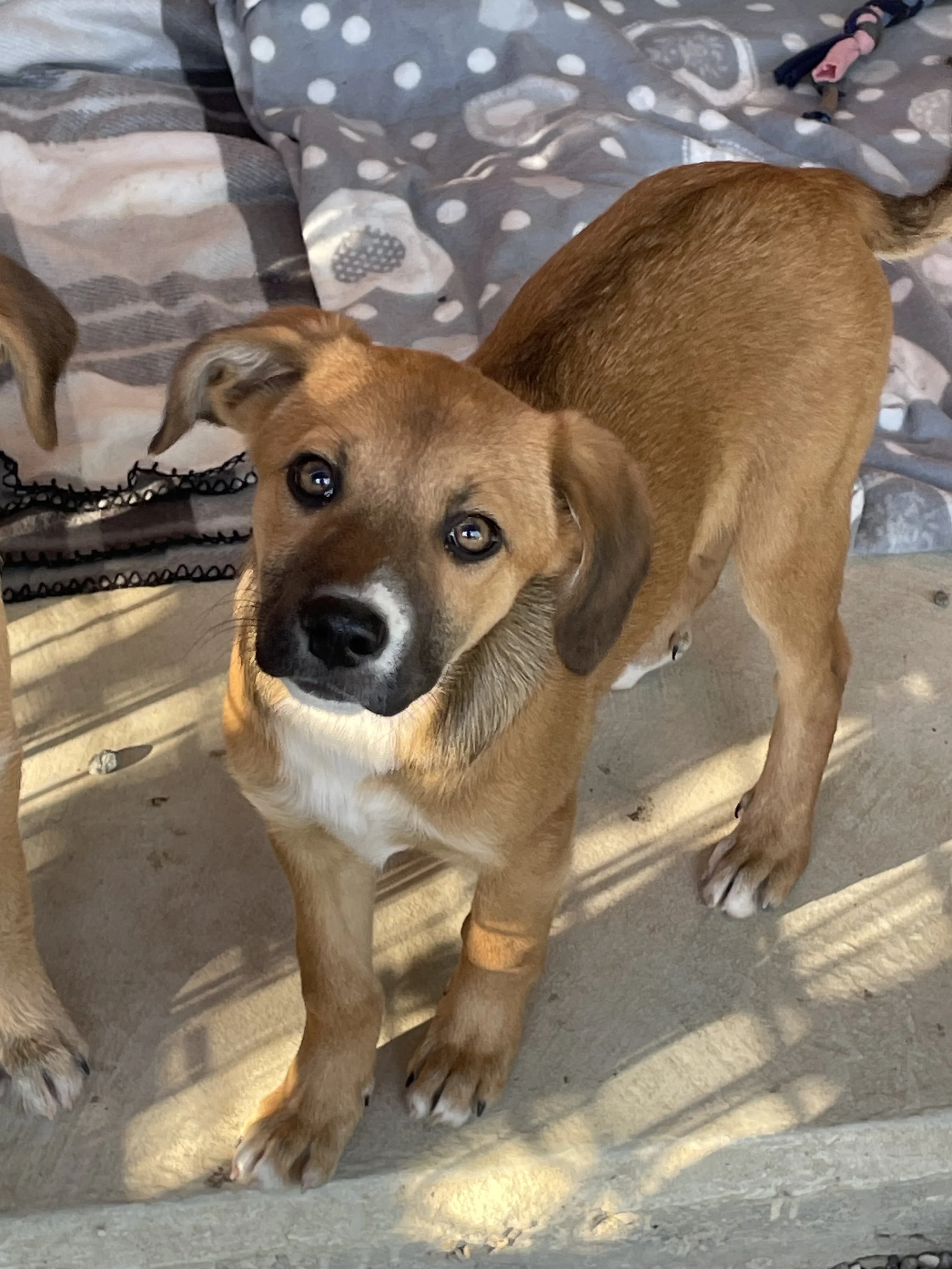 Foto 26-11-25, 13 34 39.jpg