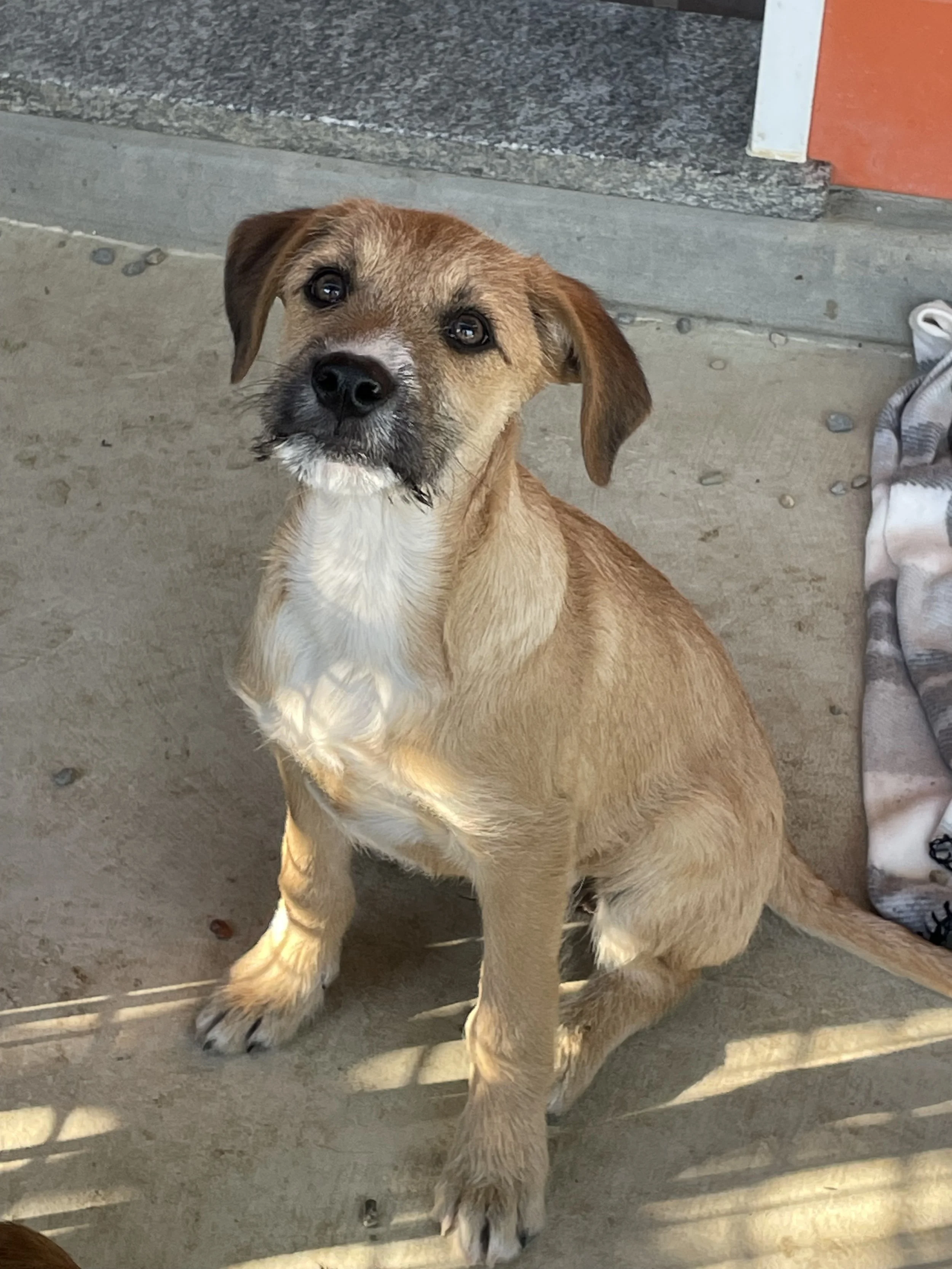 Foto 26-11-25, 13 34 26.jpg