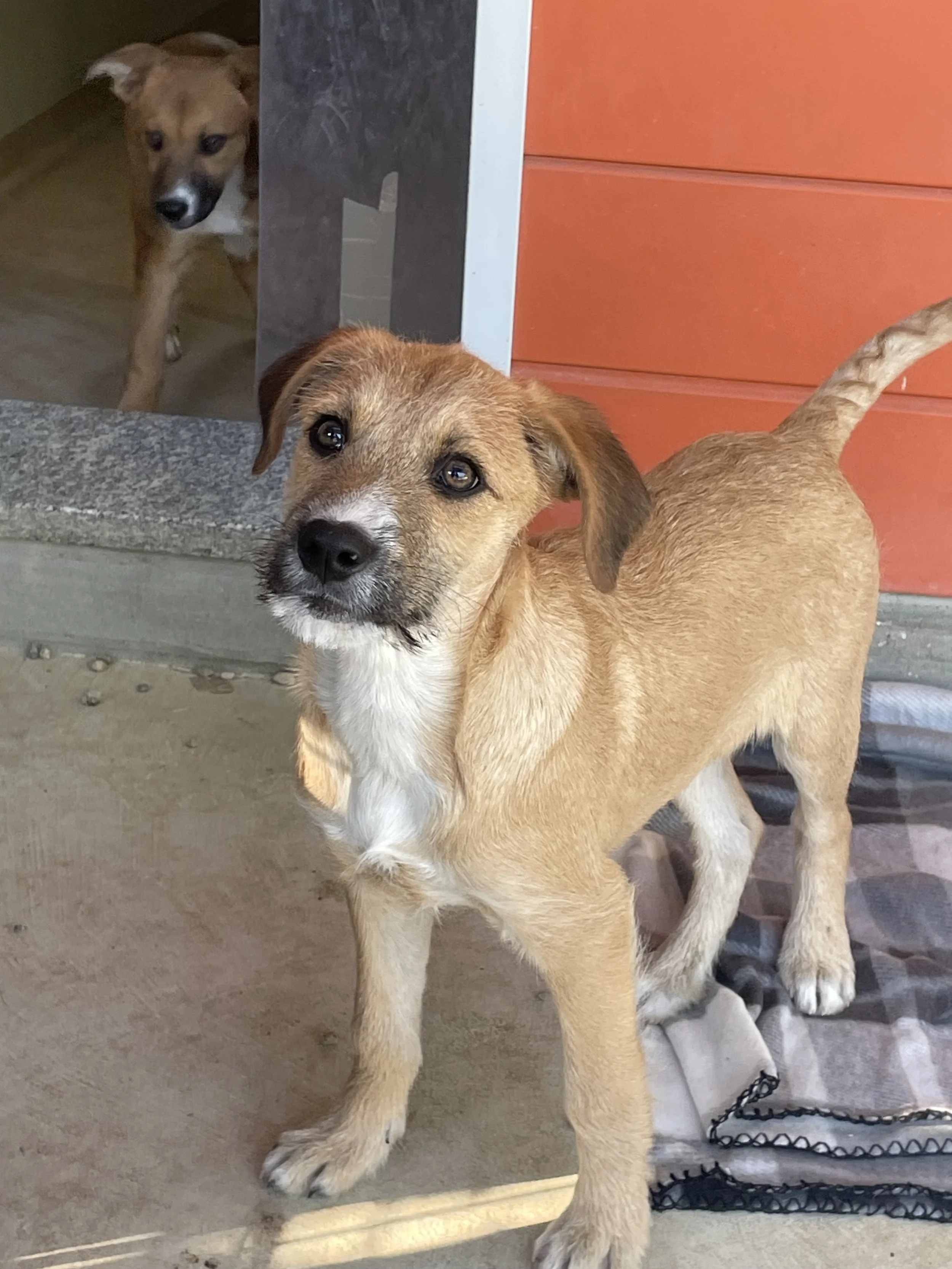 Foto 26-11-25, 13 30 51.jpg