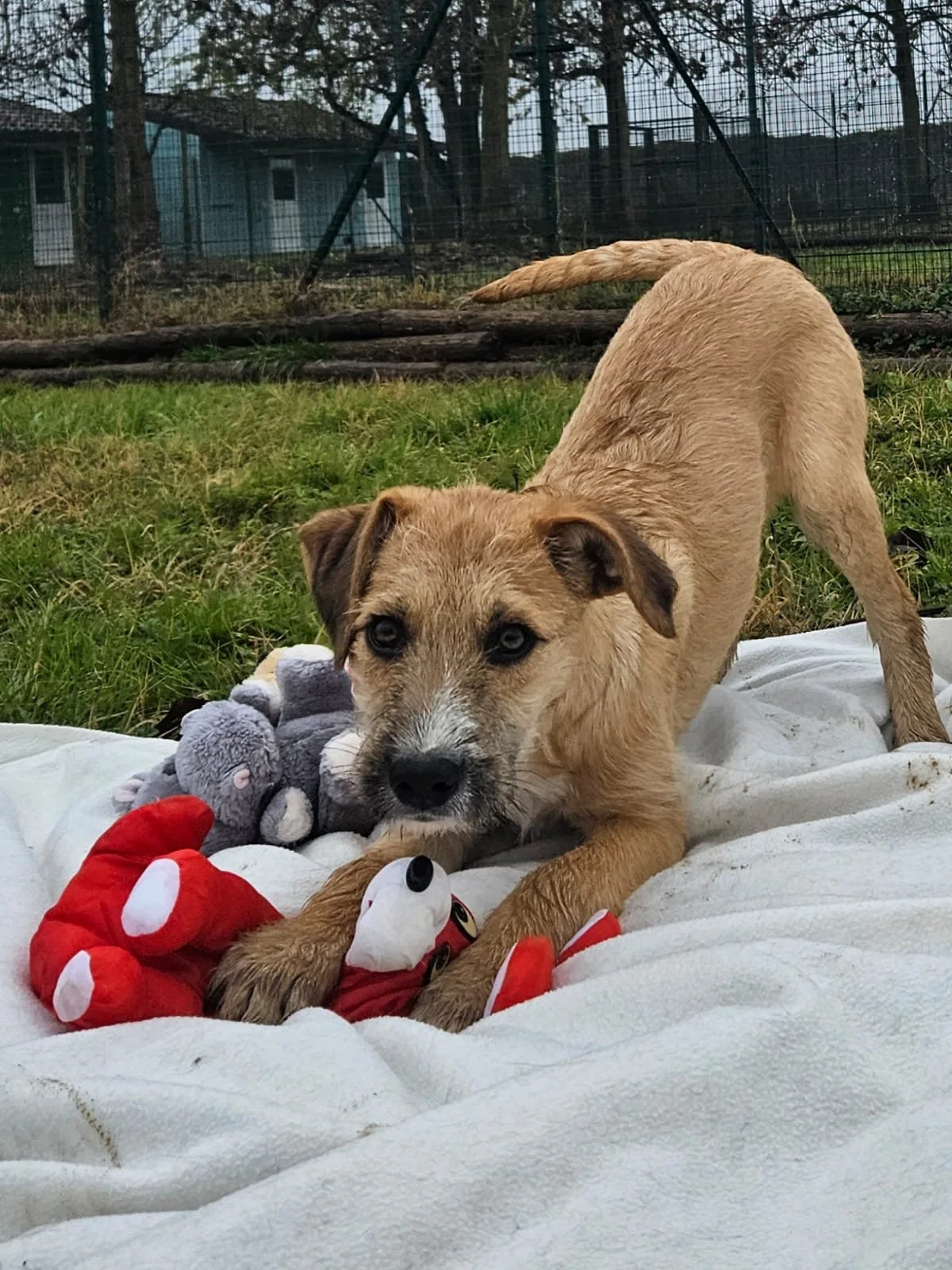 Foto 02-12-25, 12 54 25 (3).jpg