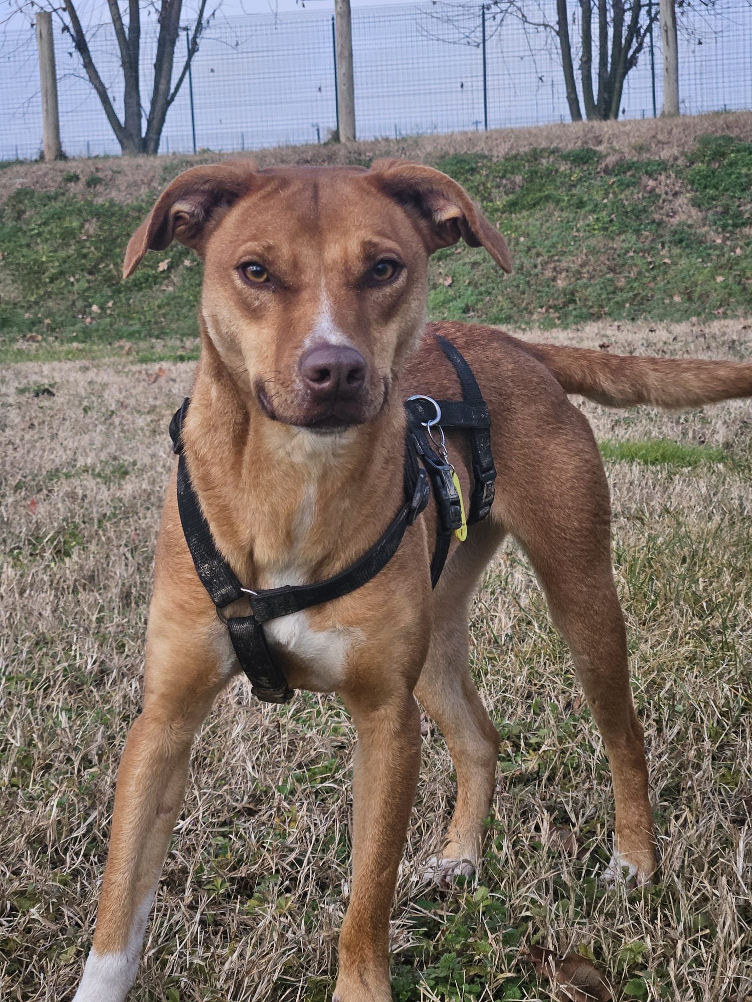 Foto 16-01-26, 21 15 55 (2).jpg