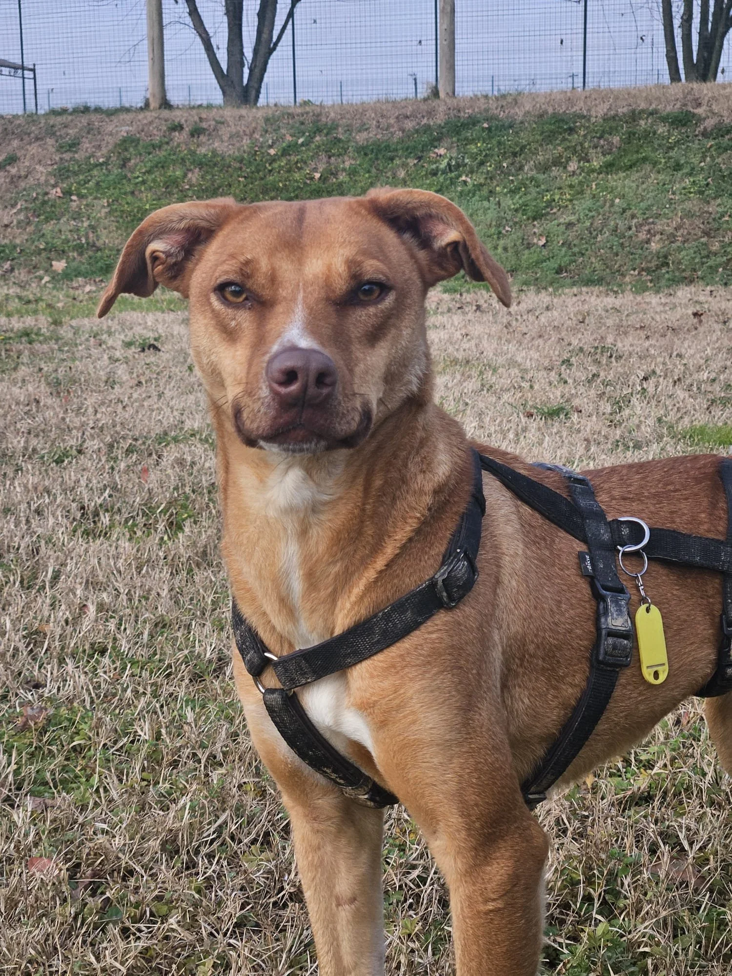 Foto 16-01-26, 21 15 55 (1).jpg