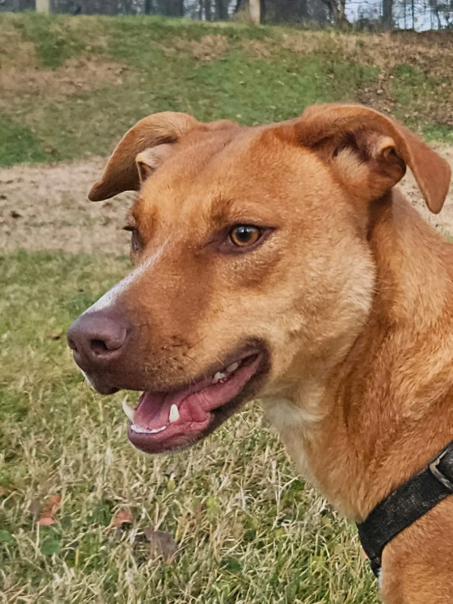 Foto 16-01-26, 21 15 55.jpg