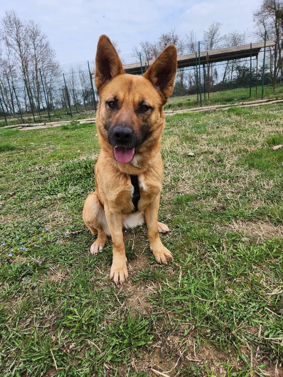 Foto 02-03-26, 16 27 44 (1).jpg