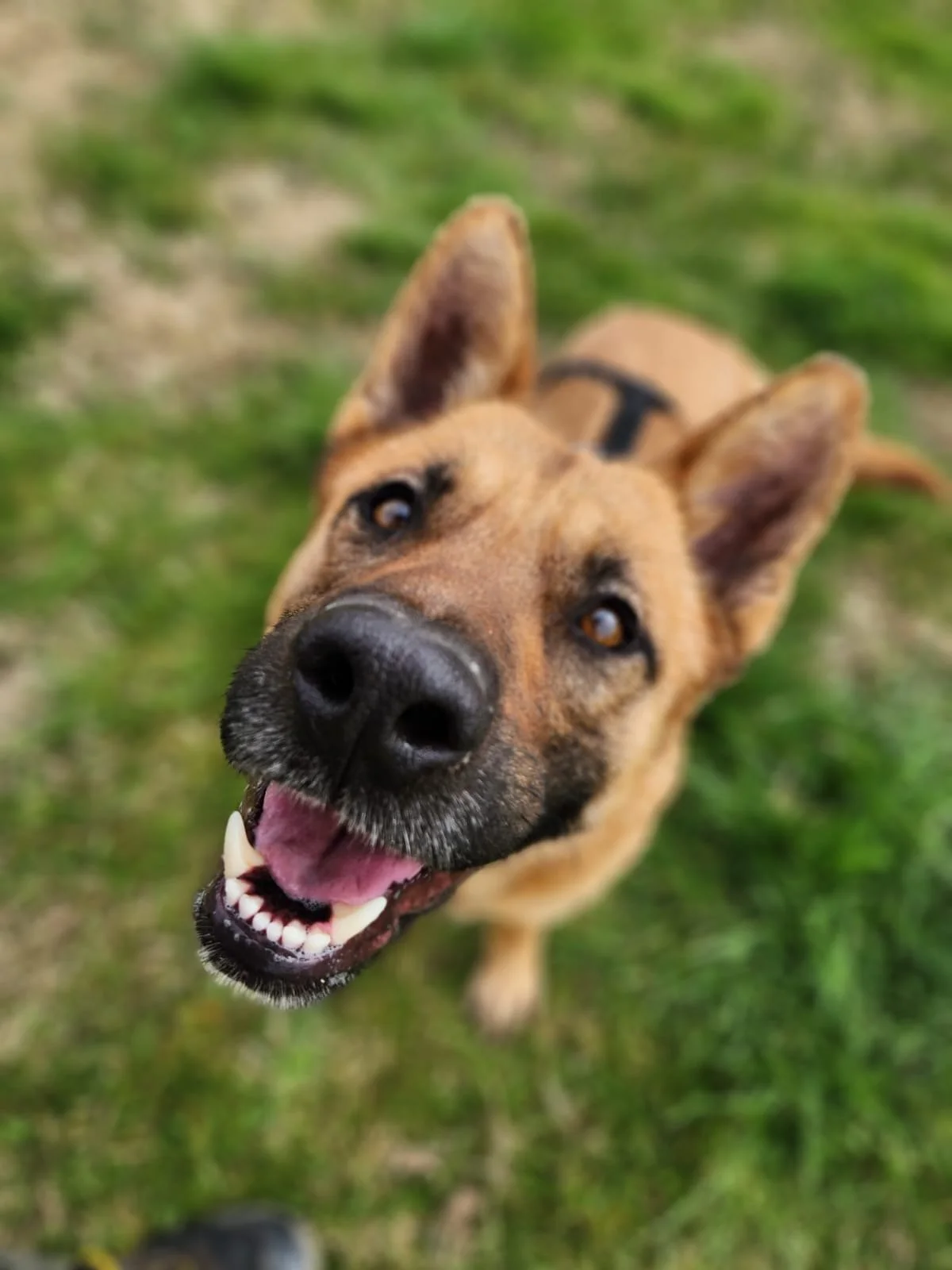 Foto 02-03-26, 16 27 44.jpg