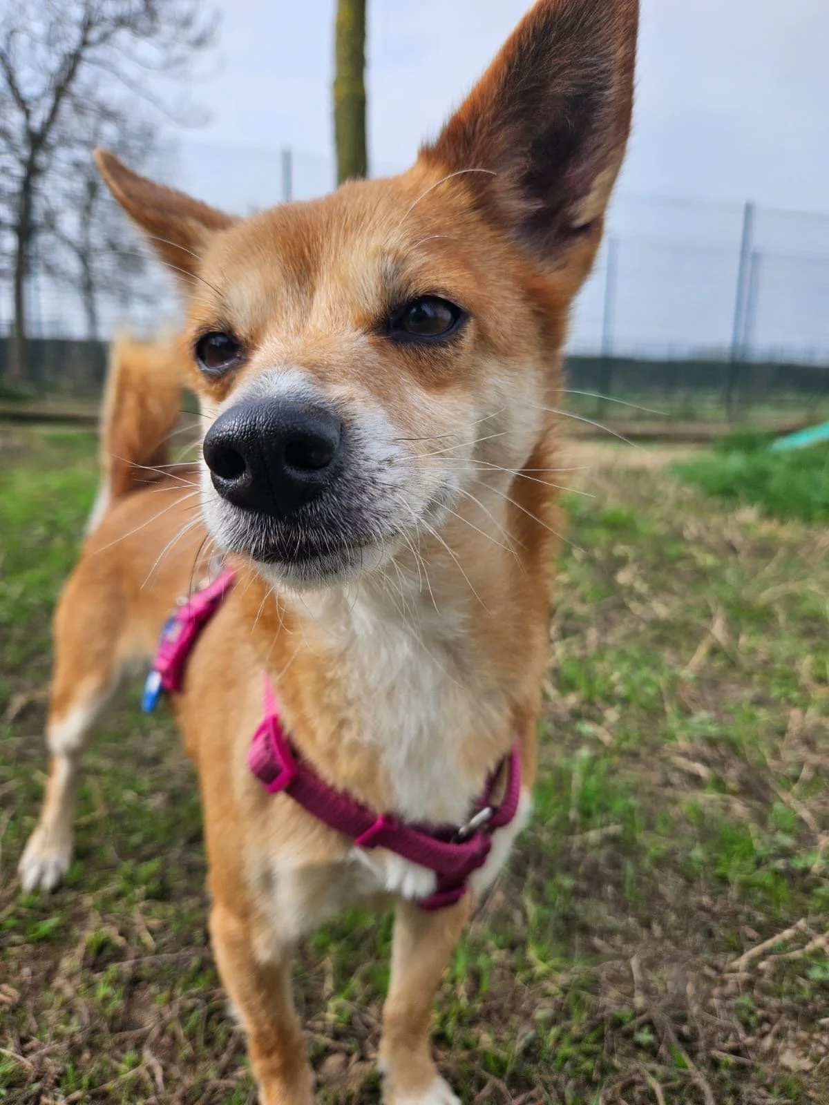 Foto 03-03-26, 11 30 51.jpg