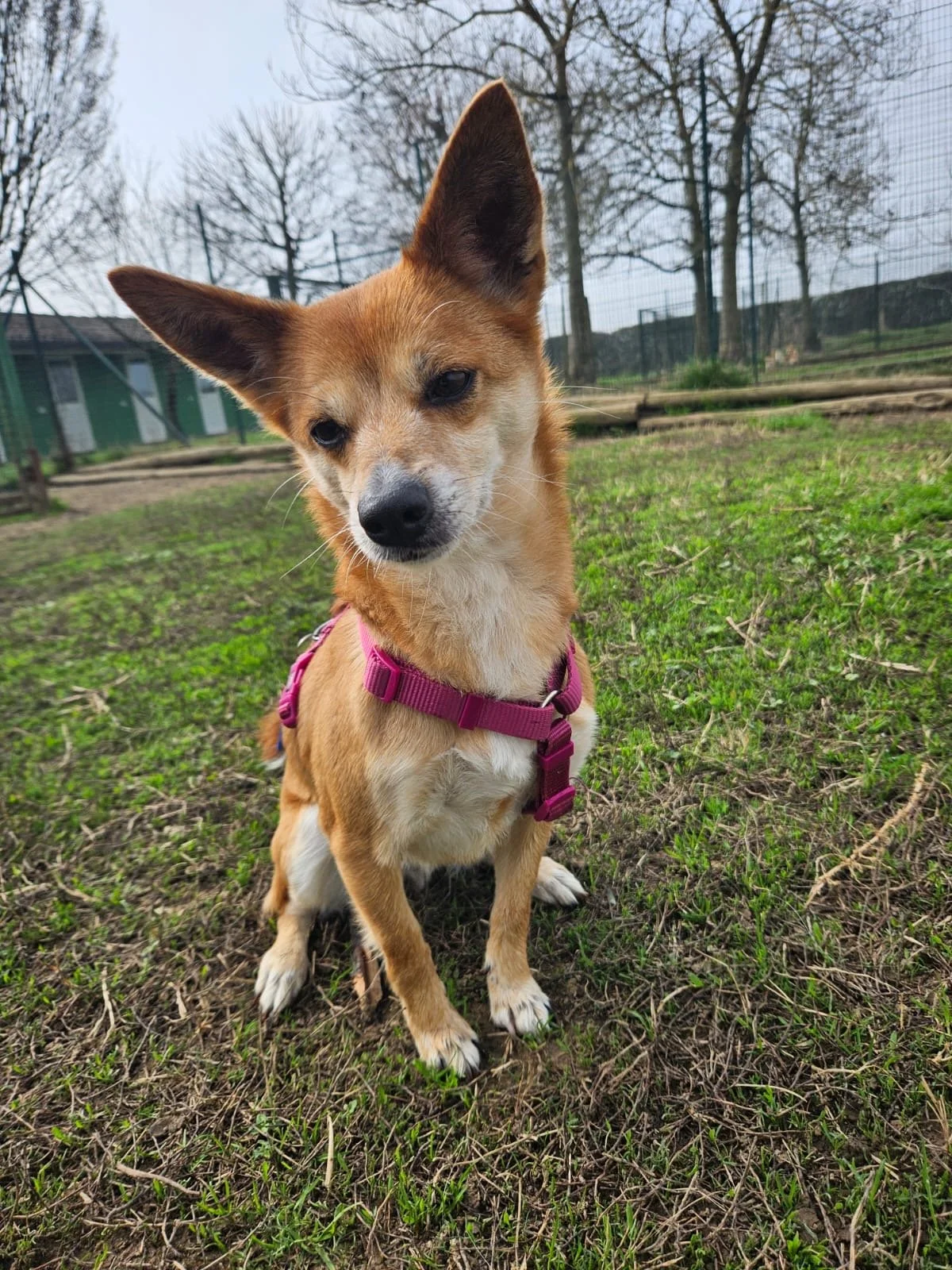 Foto 03-03-26, 11 30 51 (2).jpg