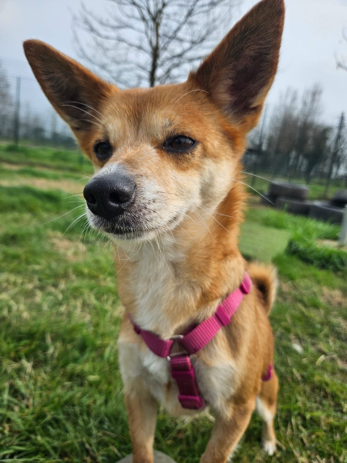 Foto 03-03-26, 11 30 52.jpg