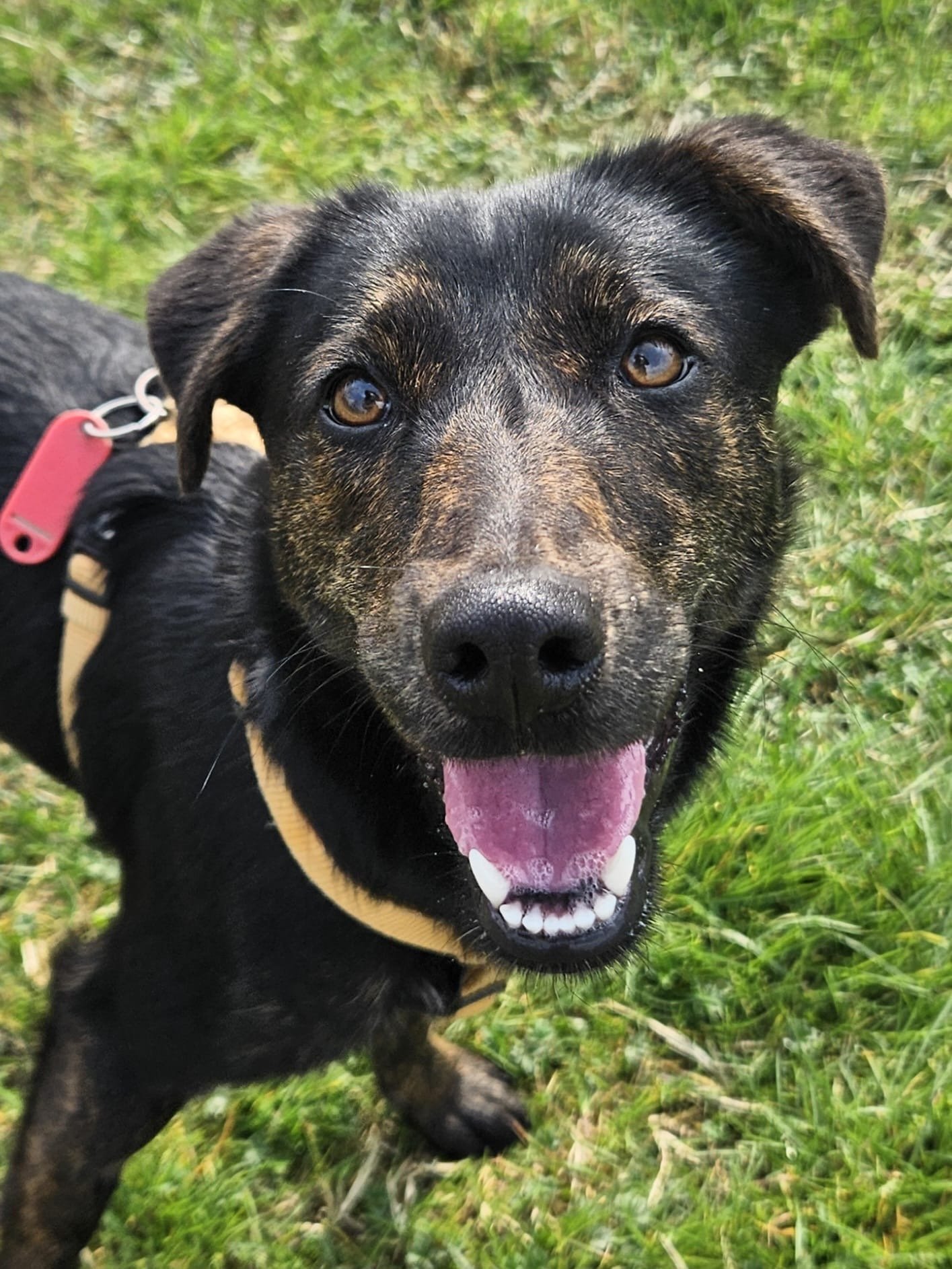 Foto 03-03-26, 13 18 42 (2).jpg