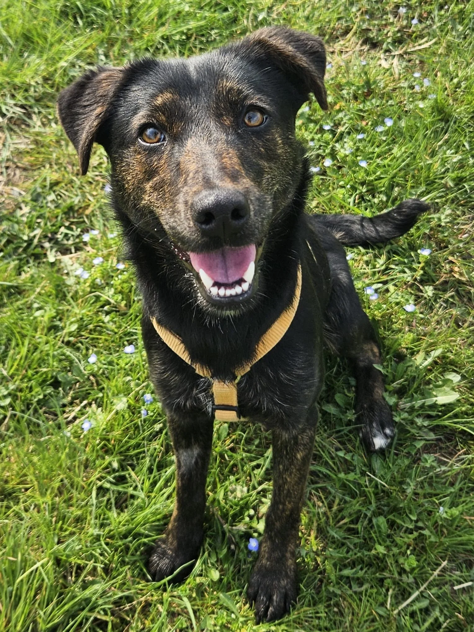 Foto 03-03-26, 13 18 43 (2).jpg