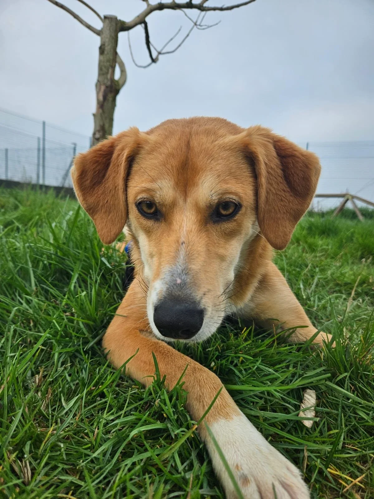 Foto 03-03-26, 12 34 34.jpg