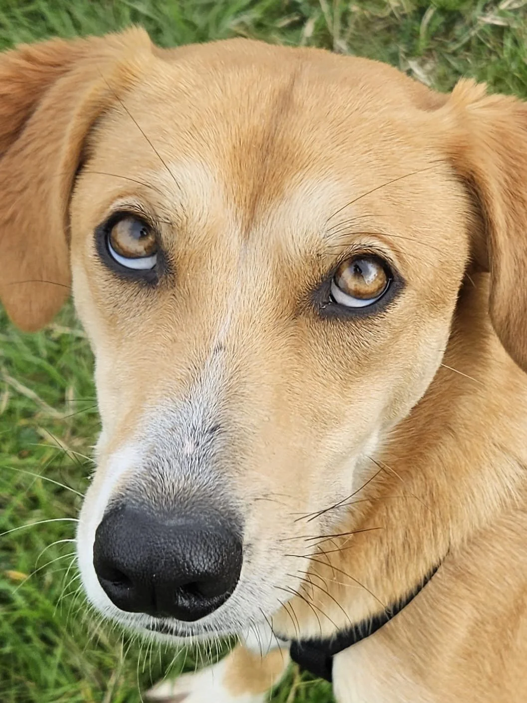 Foto 03-03-26, 12 34 35 (8).jpg