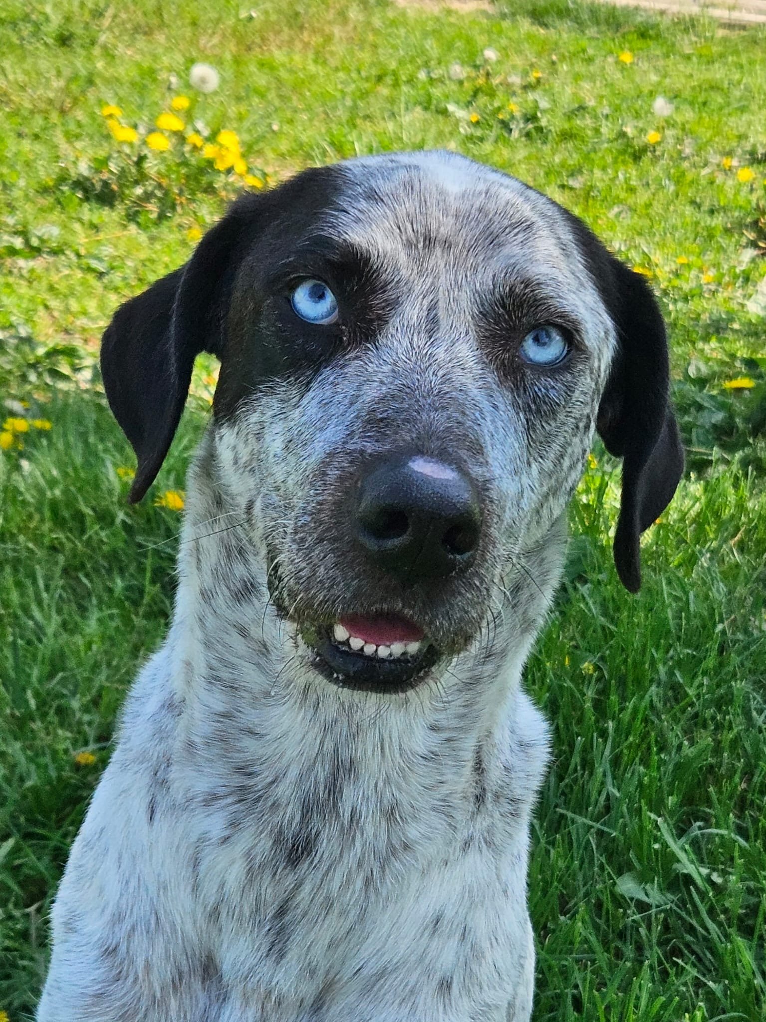 Foto 09-04-26, 12 33 38.jpg