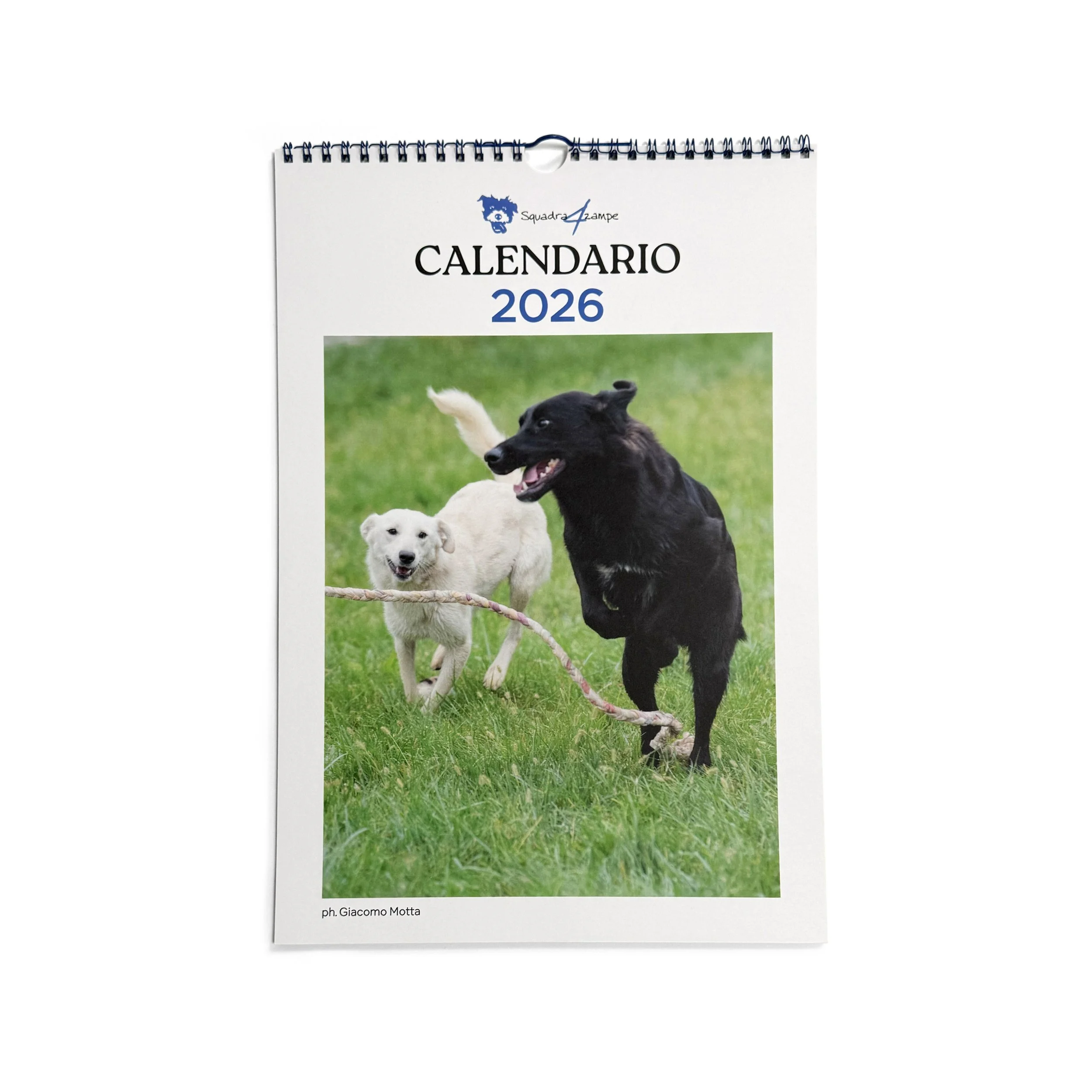 CALENDARIO GRANDE.jpg