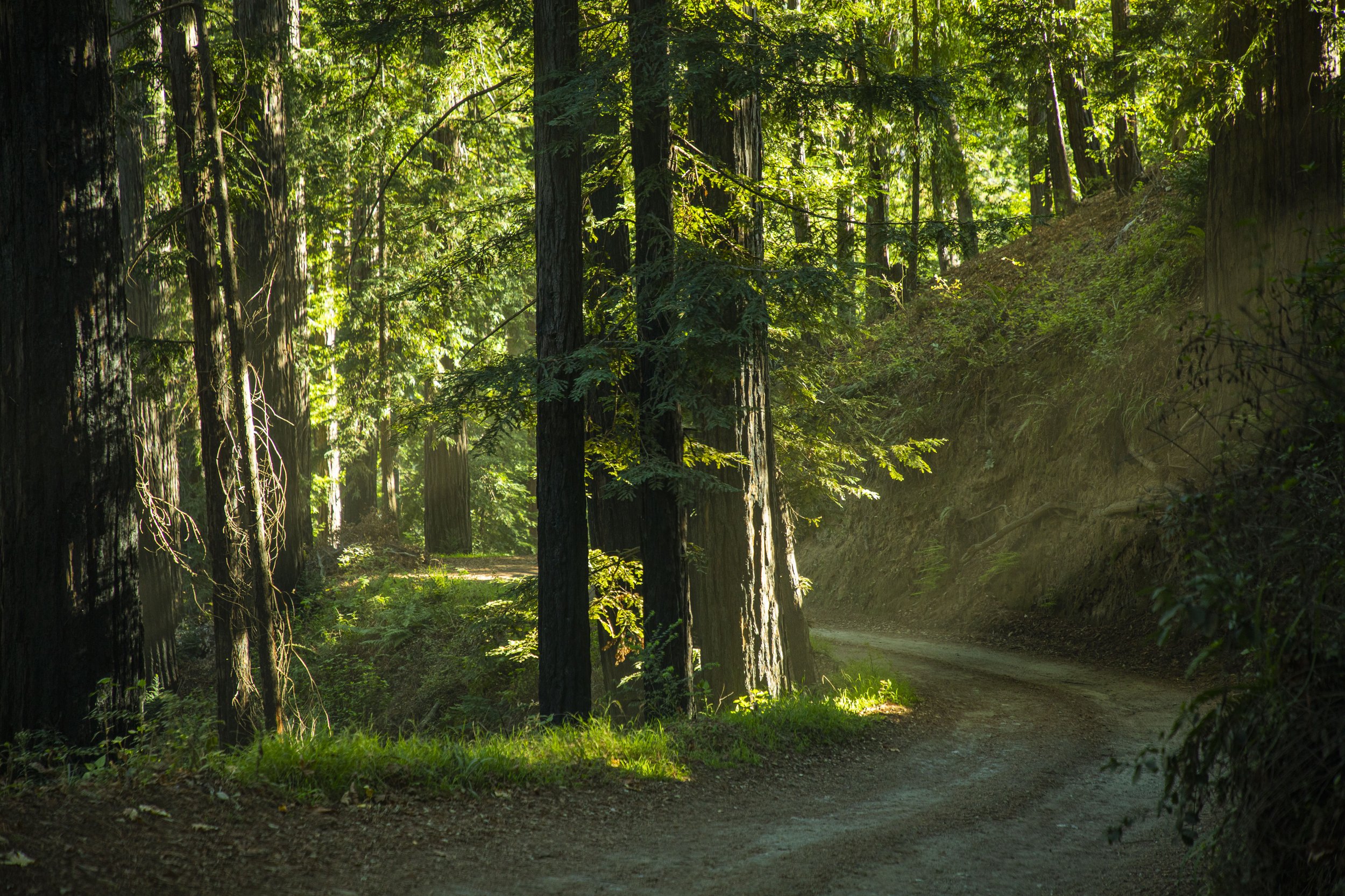 Muennig Road.JPG