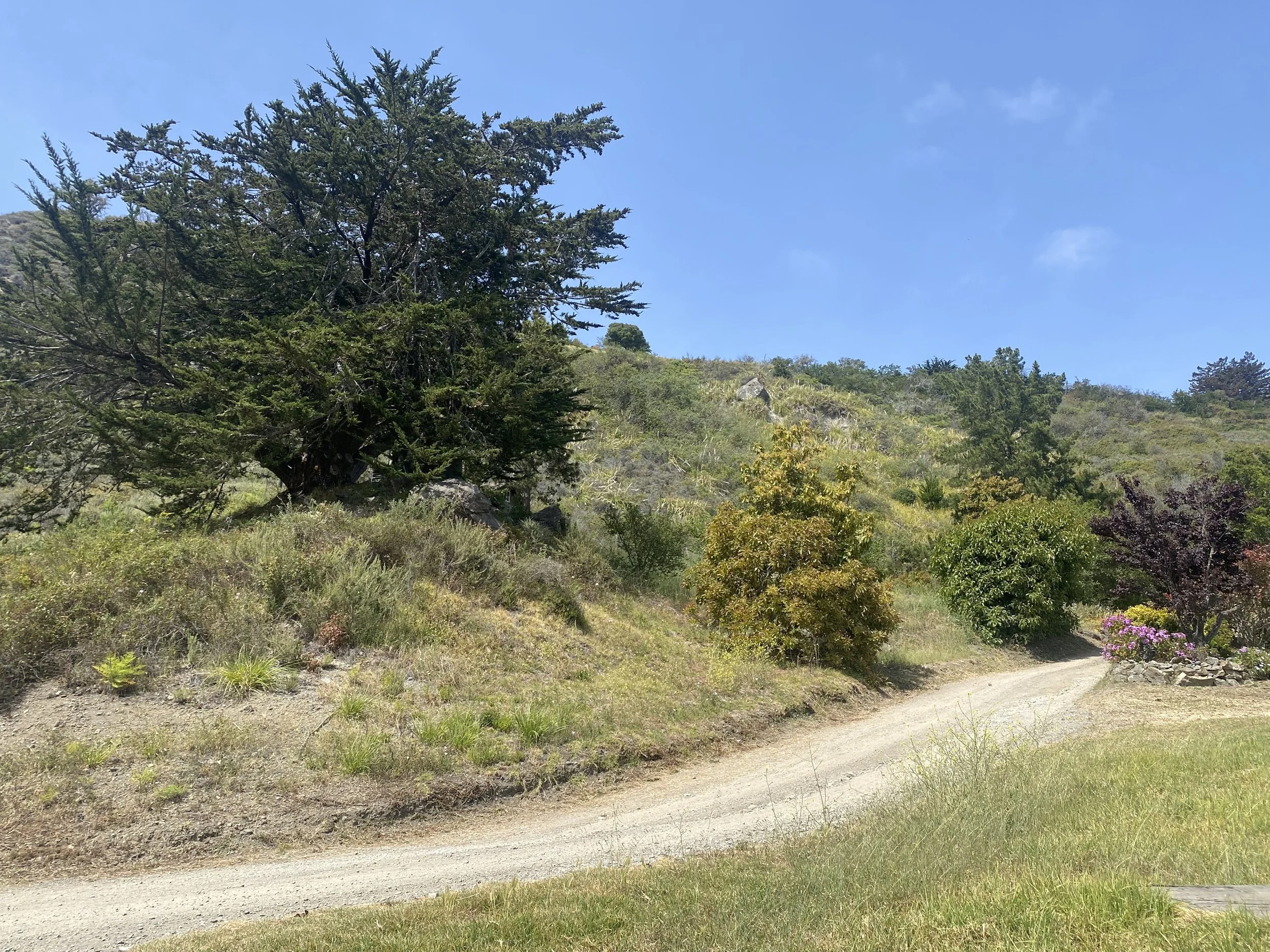 Morning Glory Ranch — Big Sur Coast Properties