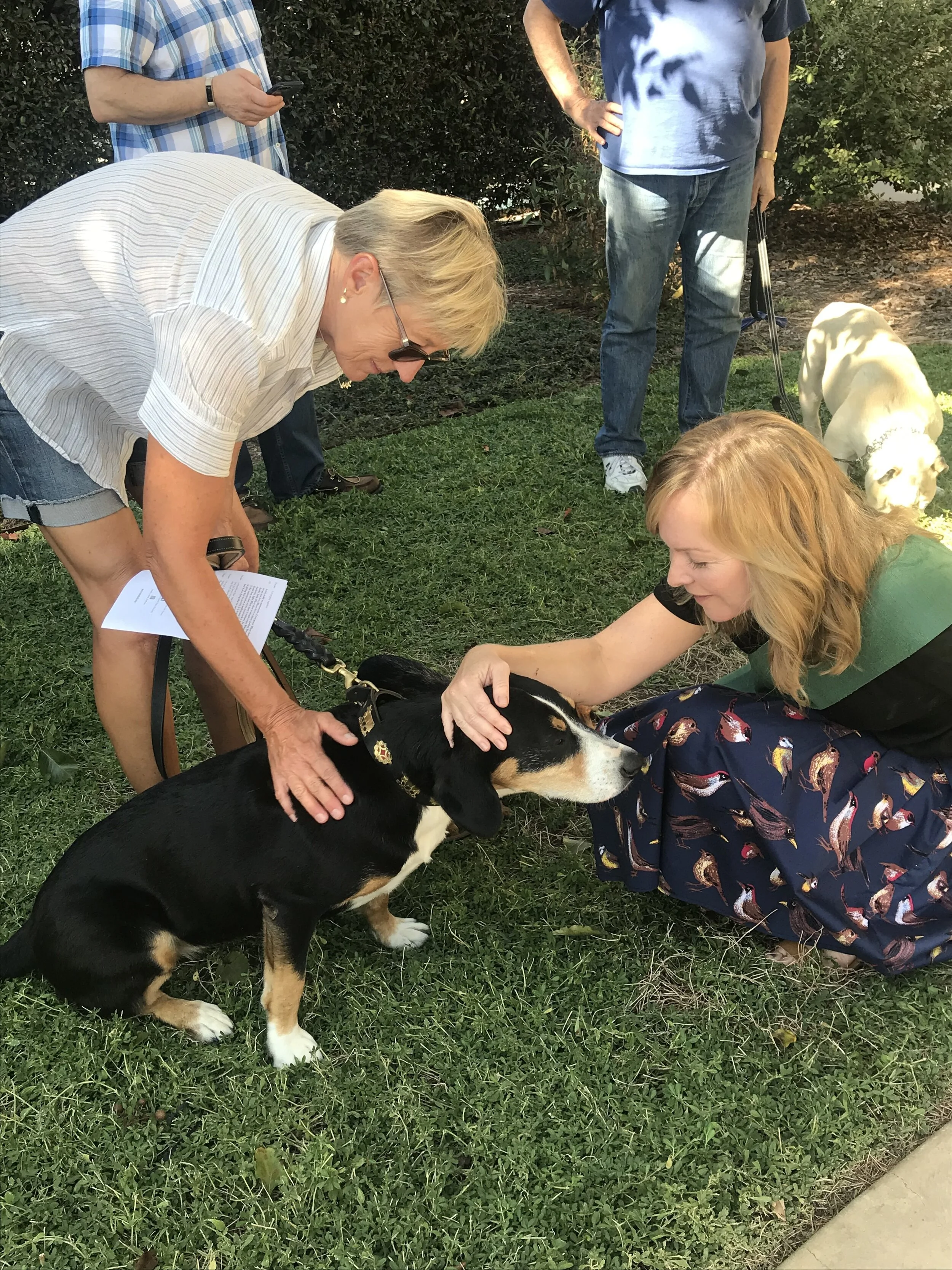 Pet Blessing