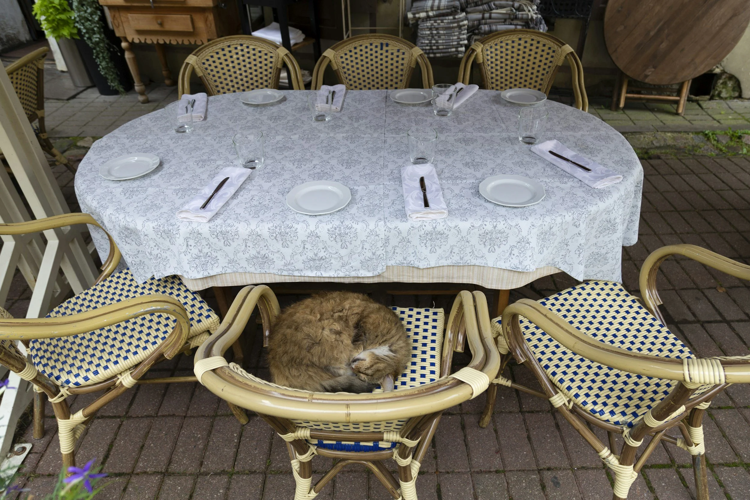 Together at the Table