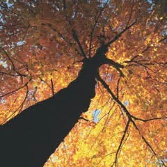 The Soul of Aging: A Mini Retreat Series