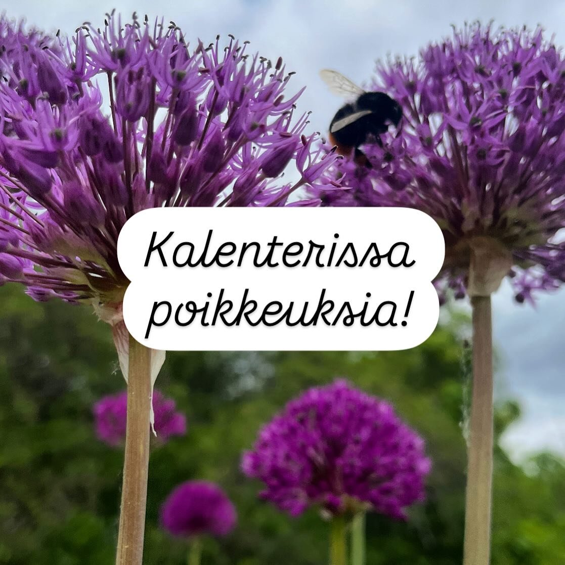 Oletko huomannut poikkeavaa aikataulua kes&auml;tarjonnassa? Esim. su Marianna ohjaa su klo 15 &amp; 16.15 ABC tunnit. Ne sopivat my&ouml;s ensikertalaisille! Haastava Athletic Pilates klo 17.30💪 sopii sulle jos on jo kokemusta. Tarkista varauskalen