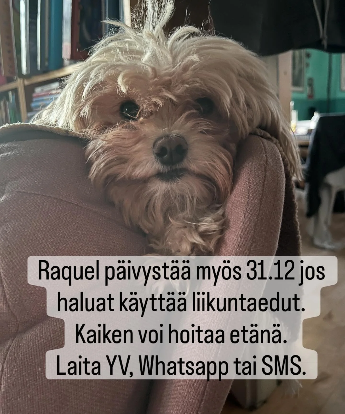 K&auml;ytt&auml;m&auml;tt&ouml;mi&auml; etuja voi k&auml;ytt&auml;&auml; et&auml;n&auml;. Appist&auml;si valitset Choose Joy. Sy&ouml;t&auml; summa. Jos ei ole koko summaa voit maksa osa nyt liikuntaeduilla ja paikan p&auml;&auml;ll&auml; tai et&auml