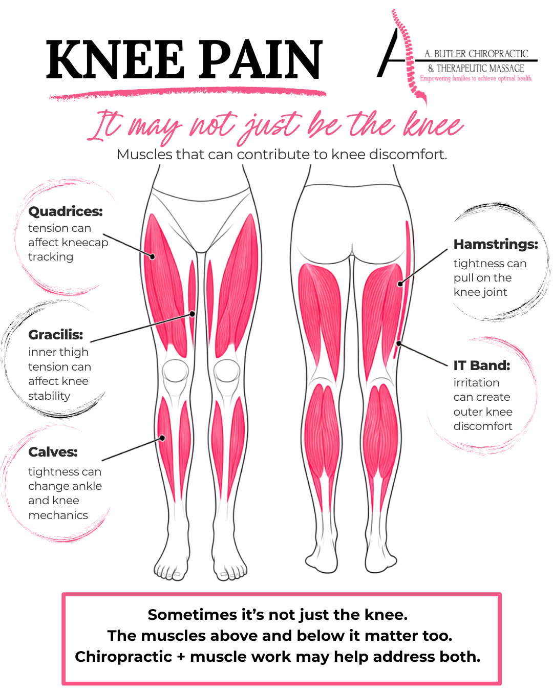 Knee Pain Isn’t Always Just the Knee: What the Muscles Above and Below It Have to Do With It