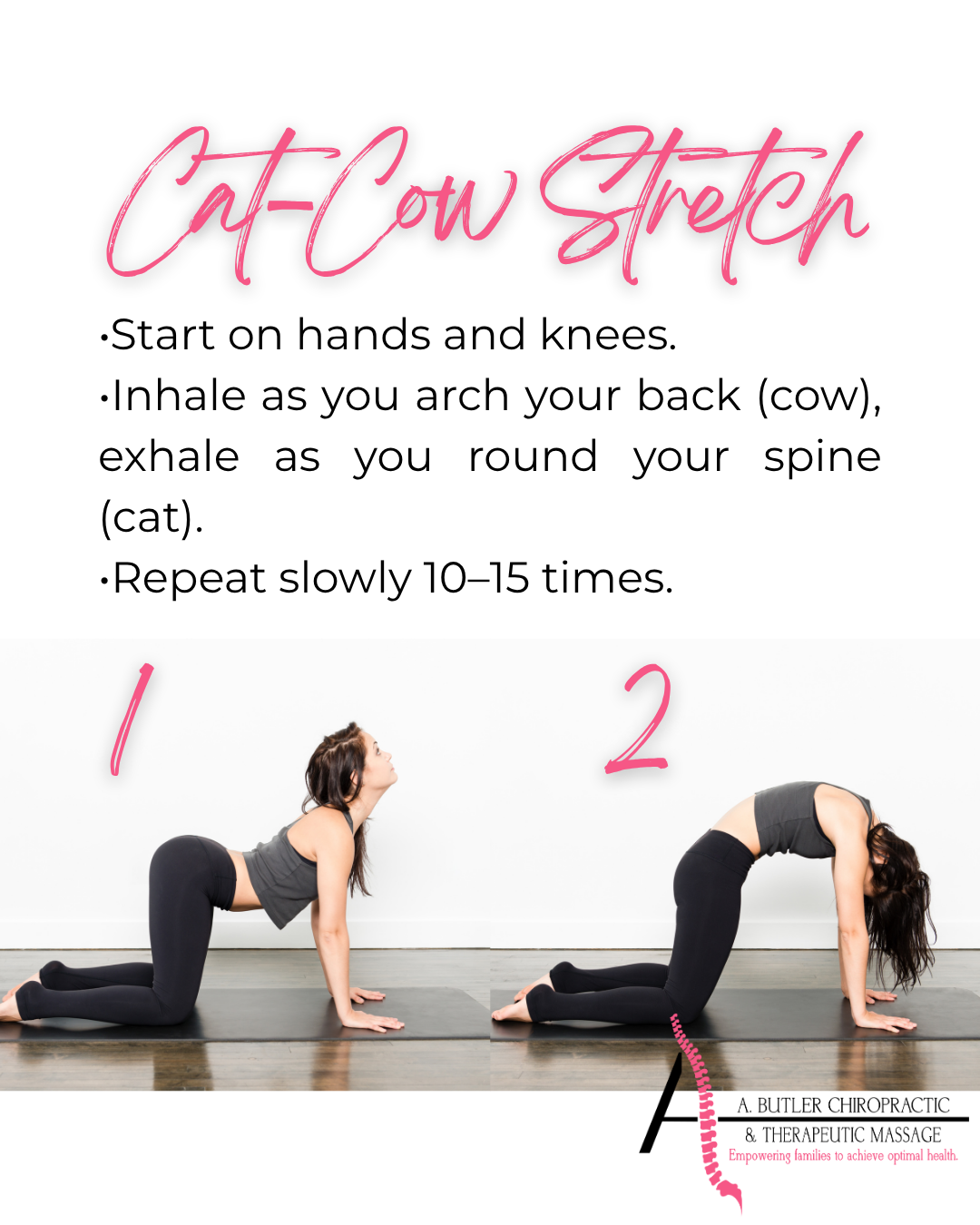 Cat Cow Stretch for tight lower back