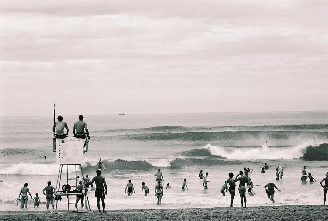 La soupe aux éléphants